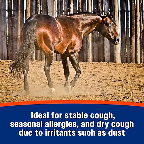 Miniatura 4 de Farnam Suplemento de salud respiratoria para caballos sin tos, proporciona apoyo respiratorio para caballos con alergias estacionales o tos estable,