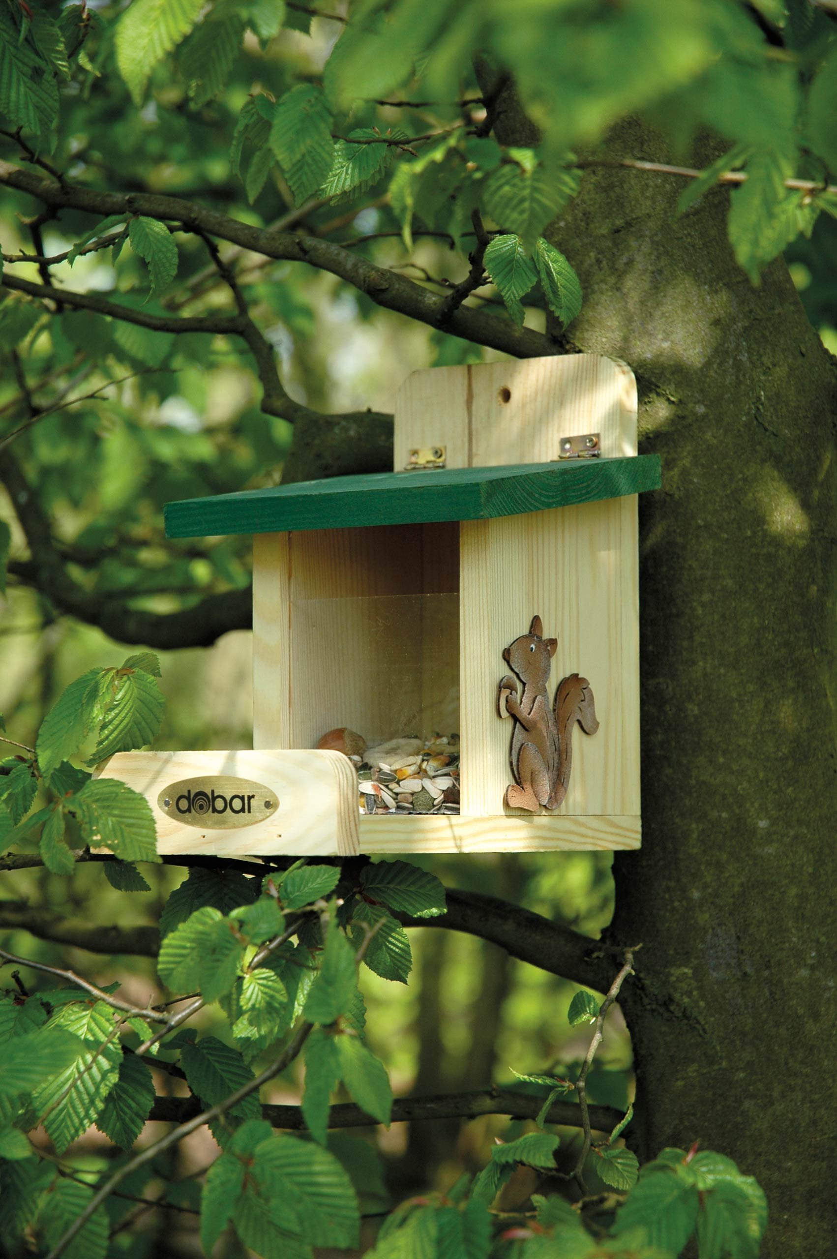 Luxus-Insektenhotels, casetta per scoiattoli di Alta qualità