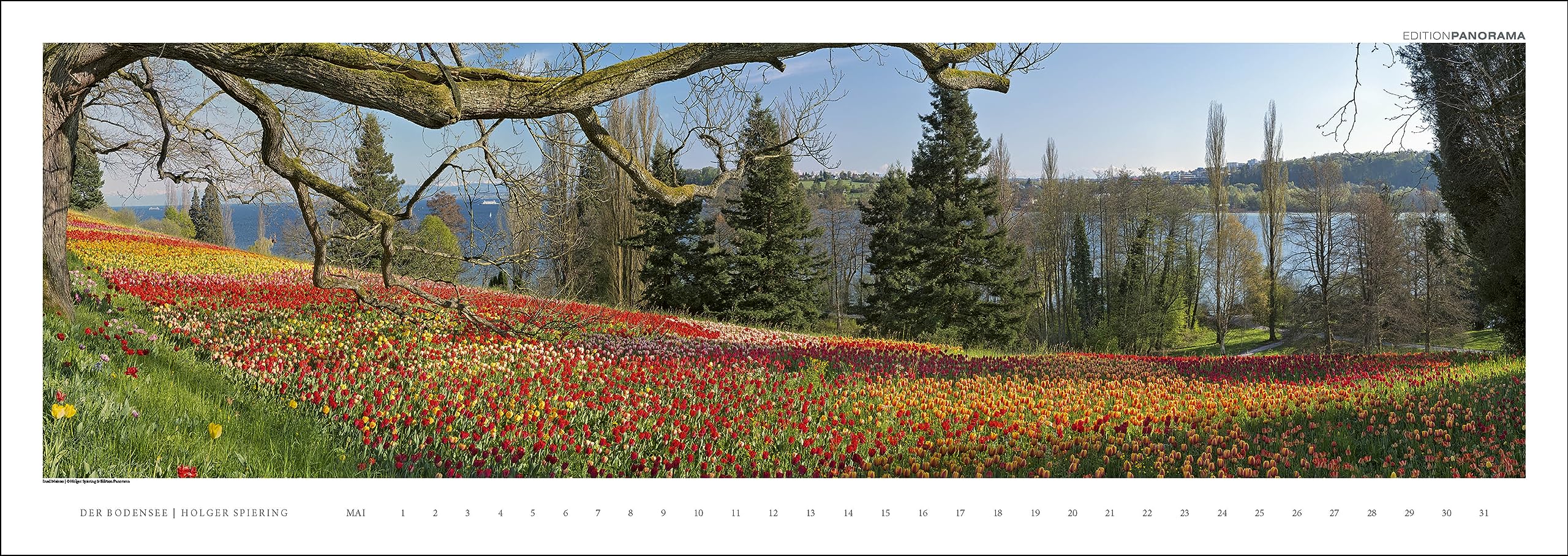 Der Bodensee: Immerwährender Panorama-Kalender, 110 x 39 cm