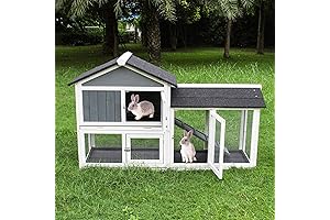 Upgraded 61'L Large Rabbit Hutch for Outdoor | Indoor