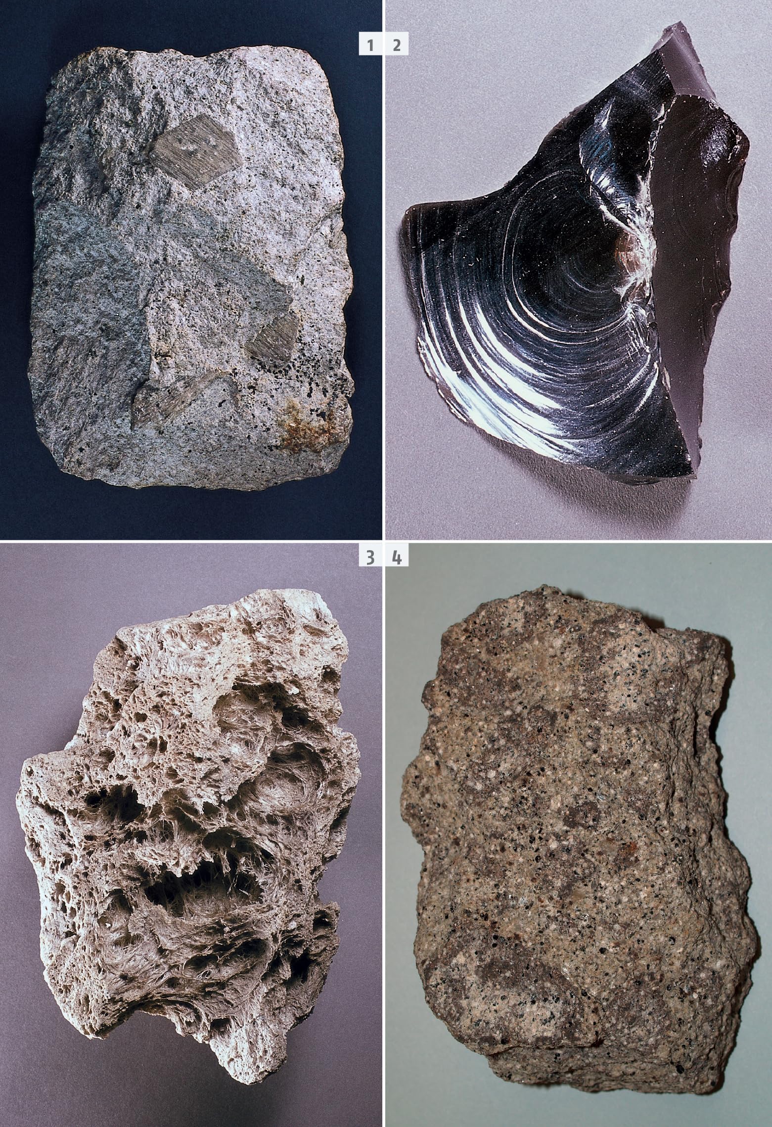 Guida ai minerali. 700 minerali, gemme e rocce