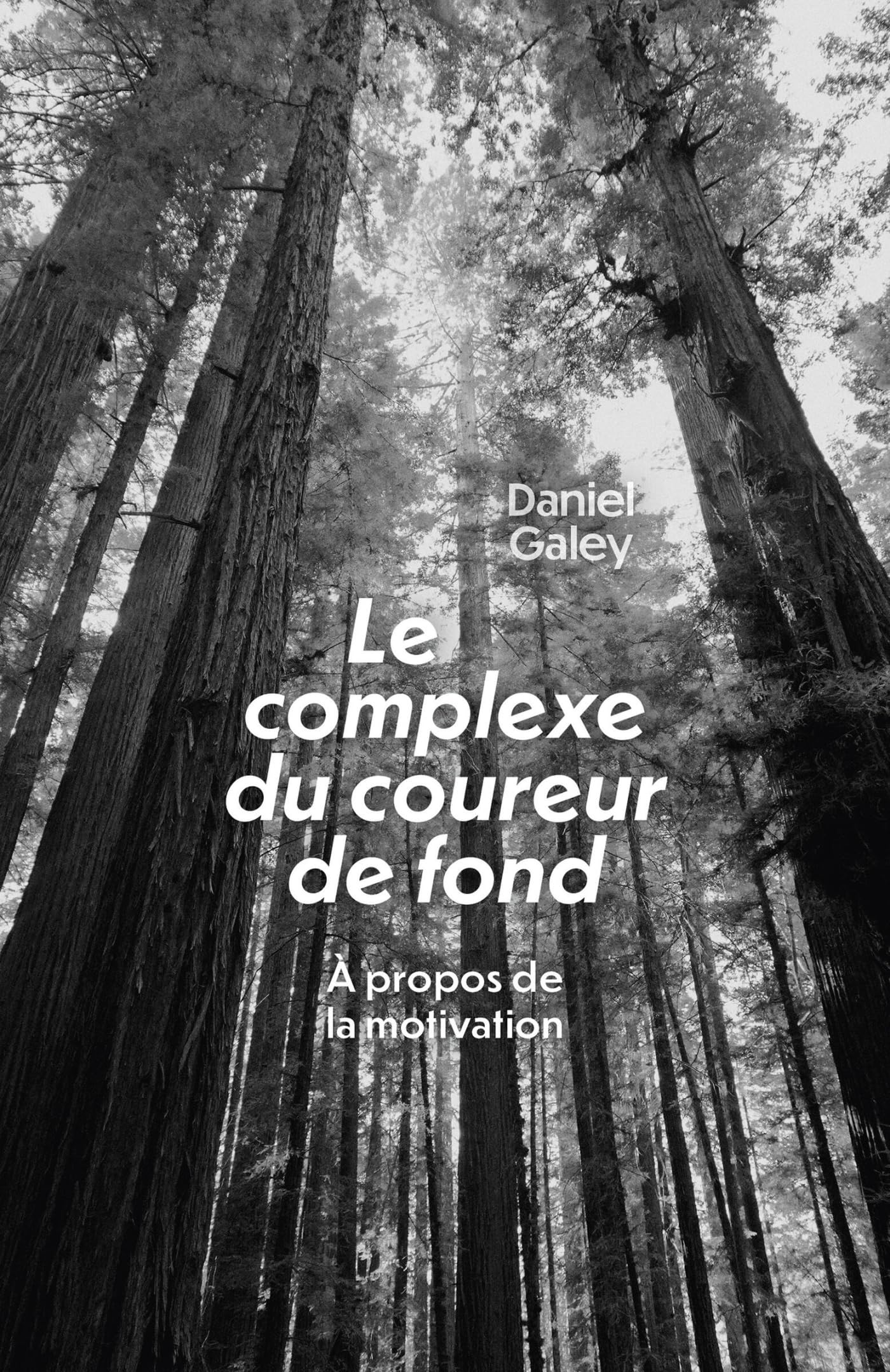Le Complexe du coureur de fond: À propos de la motivation