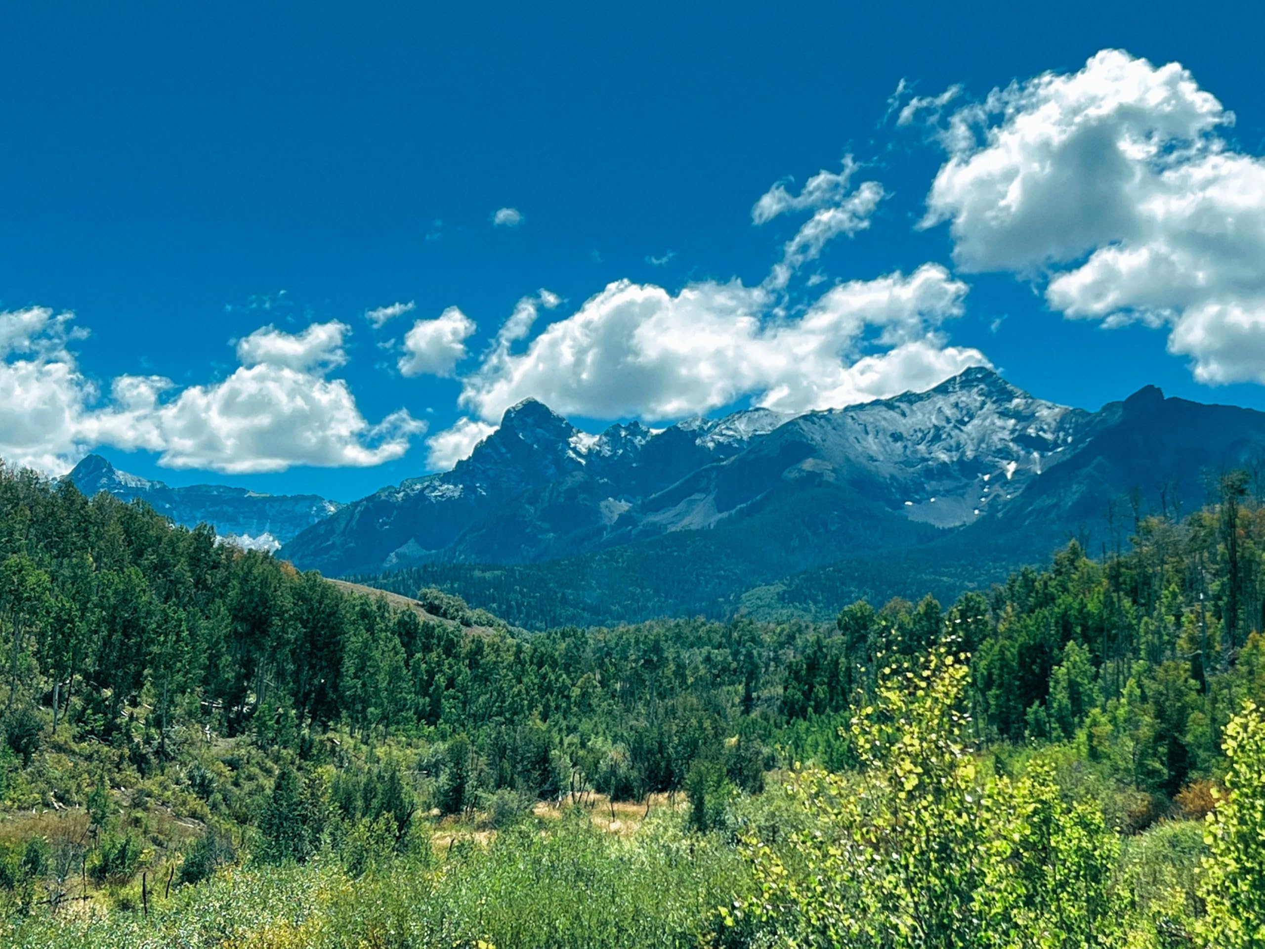 Lightwerx Collective