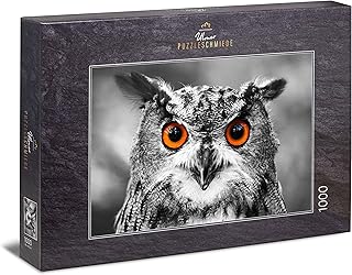 Suchergebnis Auf Amazon De Fur Puzzle Eule Klassische Puzzles Puzzles Spielzeug