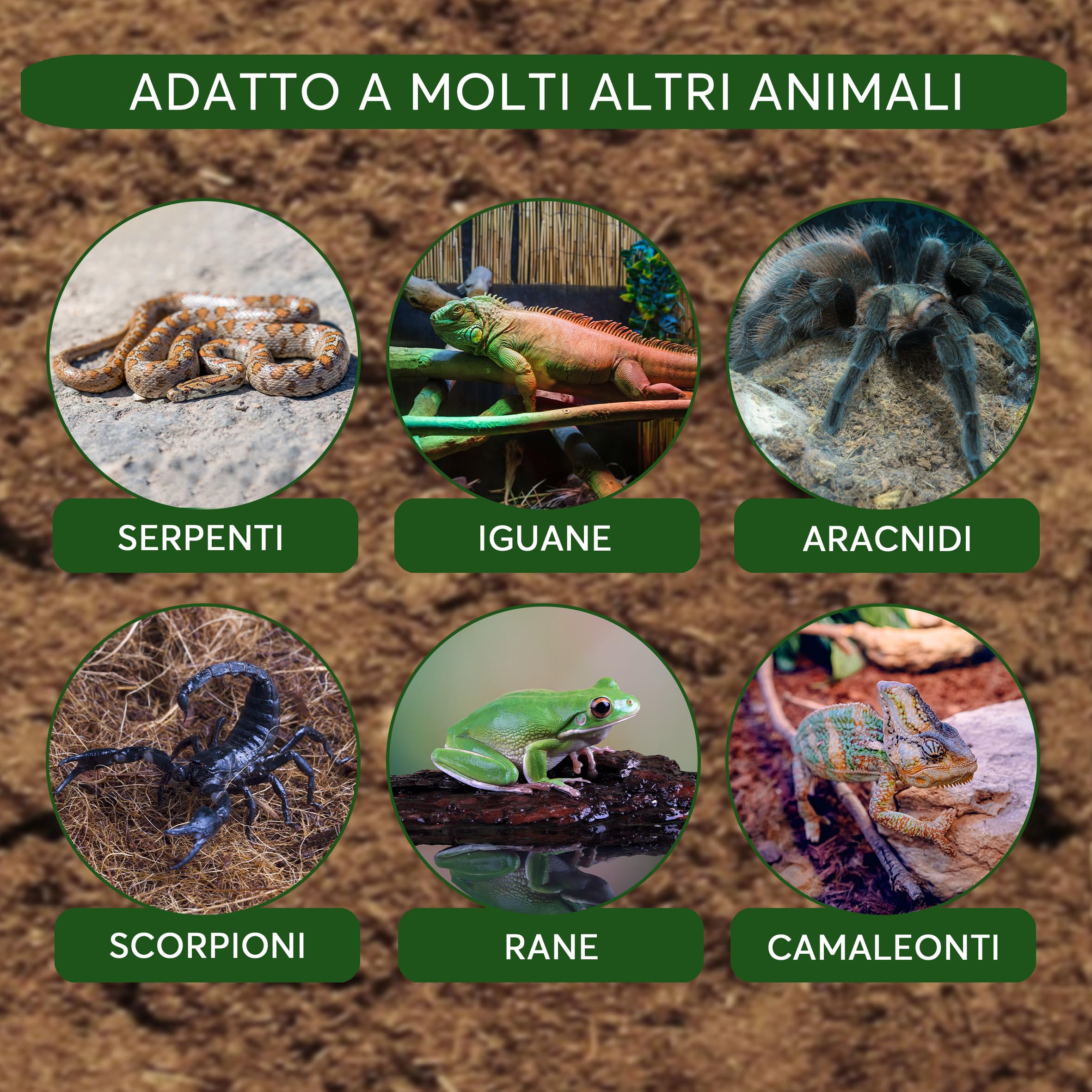 ZOMA Terrario per Tartarughe di Terra - Ambiente Ideale per la Tua Tartaruga - 20L