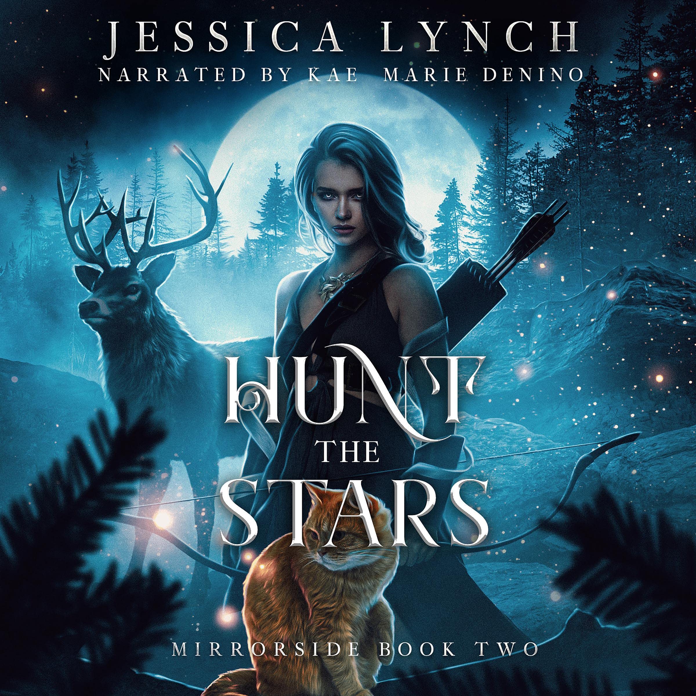 Cover art for Hunt the Stars