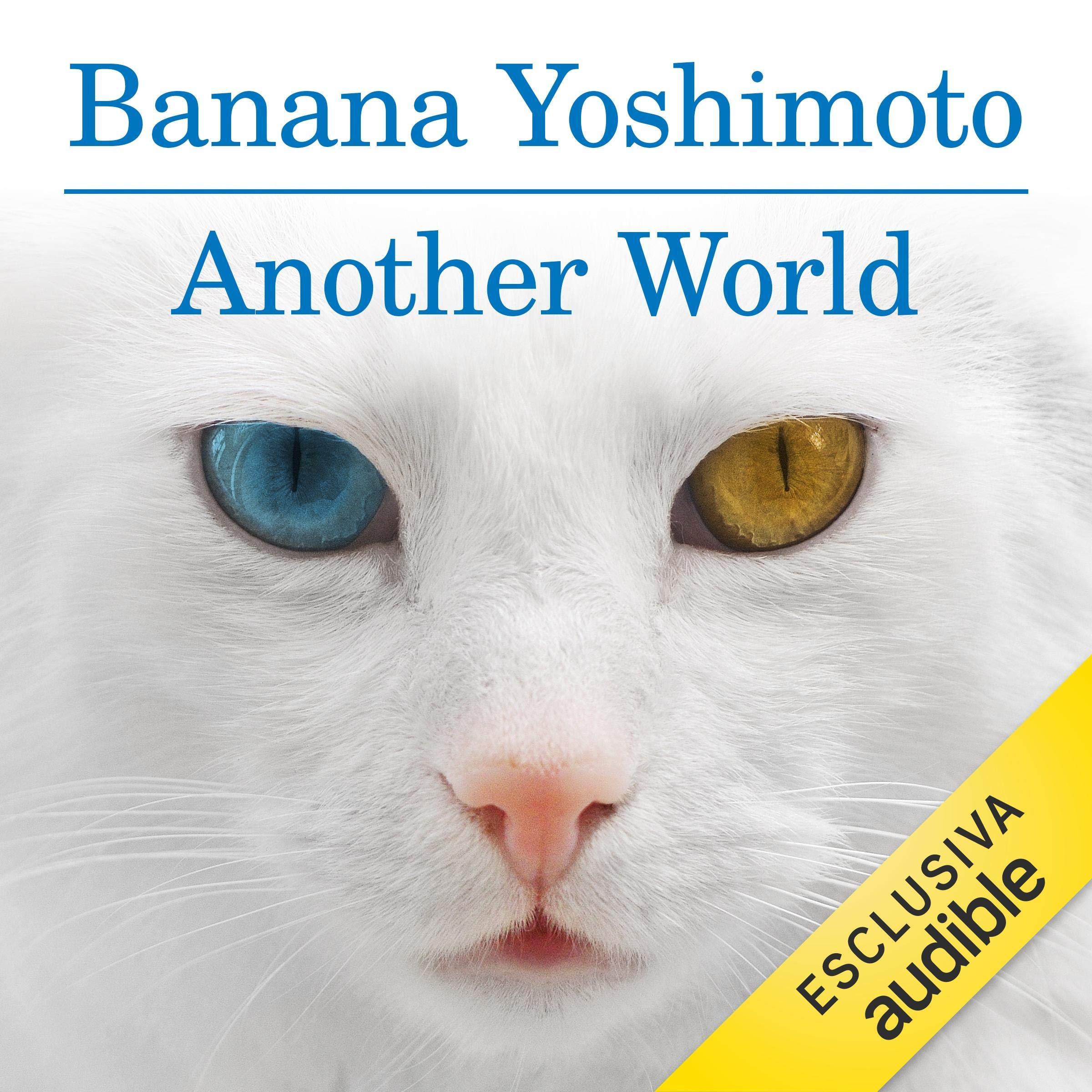 Cover art for Another World