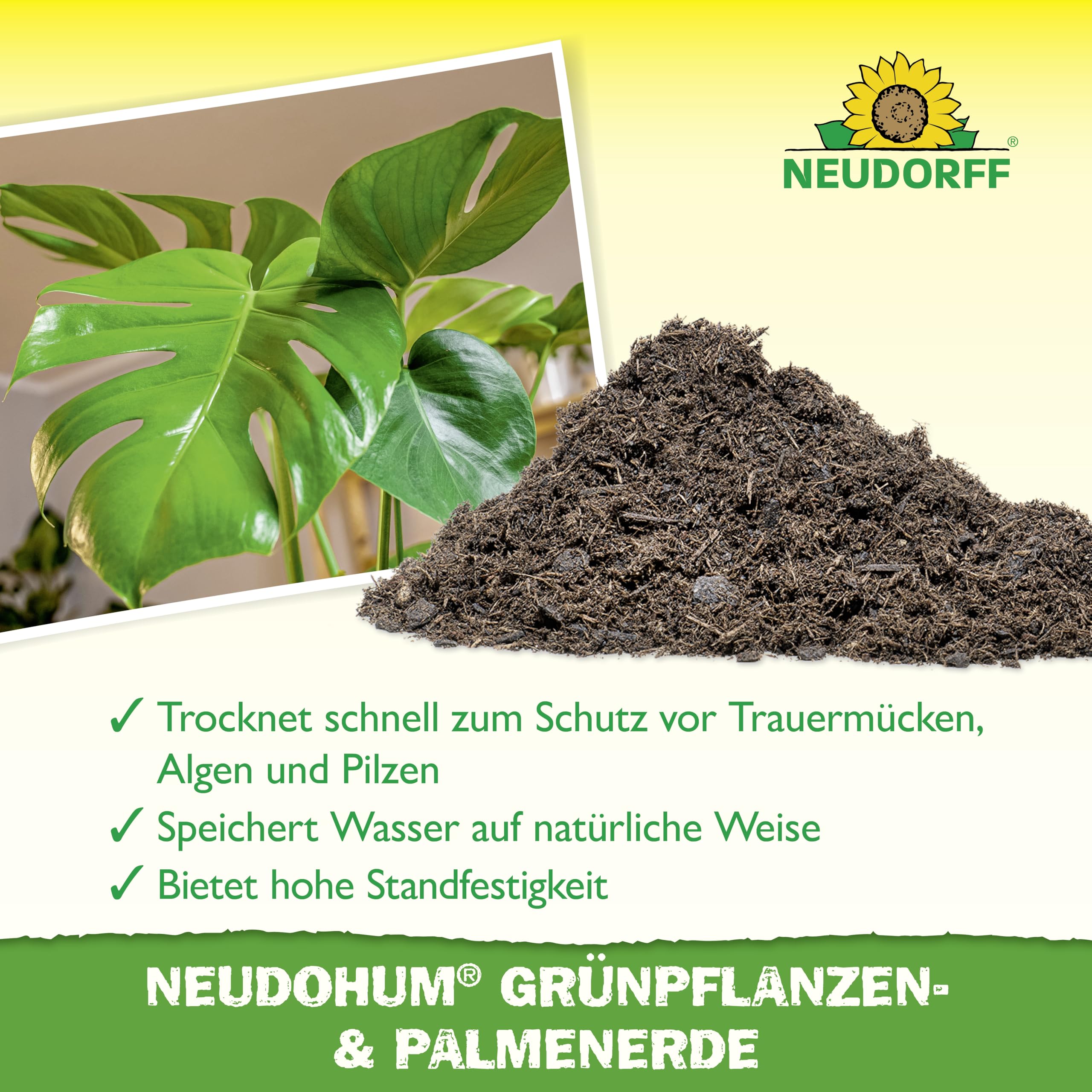 Neudorff NeudoHum GrünpflanzenErde 40 Liter - Palmenerde Torffreie Erde für Palmen - Monstera Erde ohne Torf fördert gesunde Zimmerpflanzen mit grünen Blättern - 100% vegan