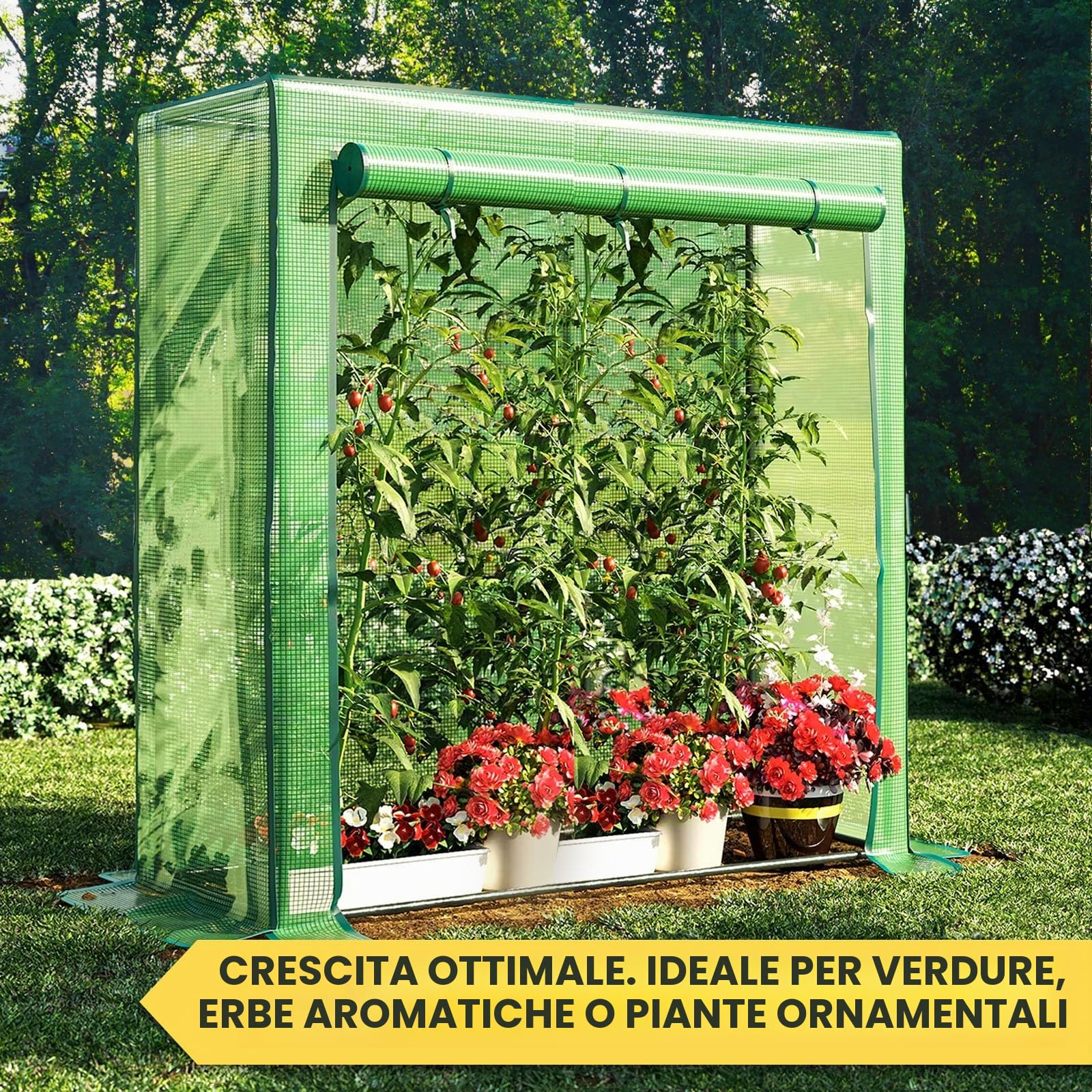 casa pura Botanika - Serra per pomodori, 200 x 77 x 170 cm, grande serra per pomodori, serra con porta da arrotolare, per aiuole precoci