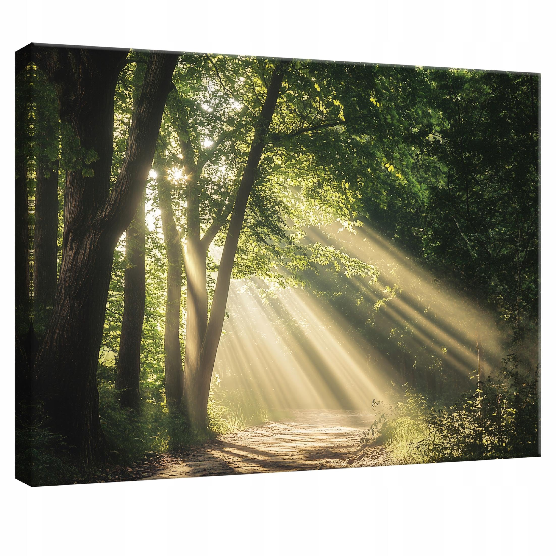 WallArena Leinwand Bilder 120x80 cm | Wald Landschaft, Leinwandbilder, Bild auf leinwand, Format: 120x80 cm (BxH) - einteilig auf Canvas Leinwand. Das