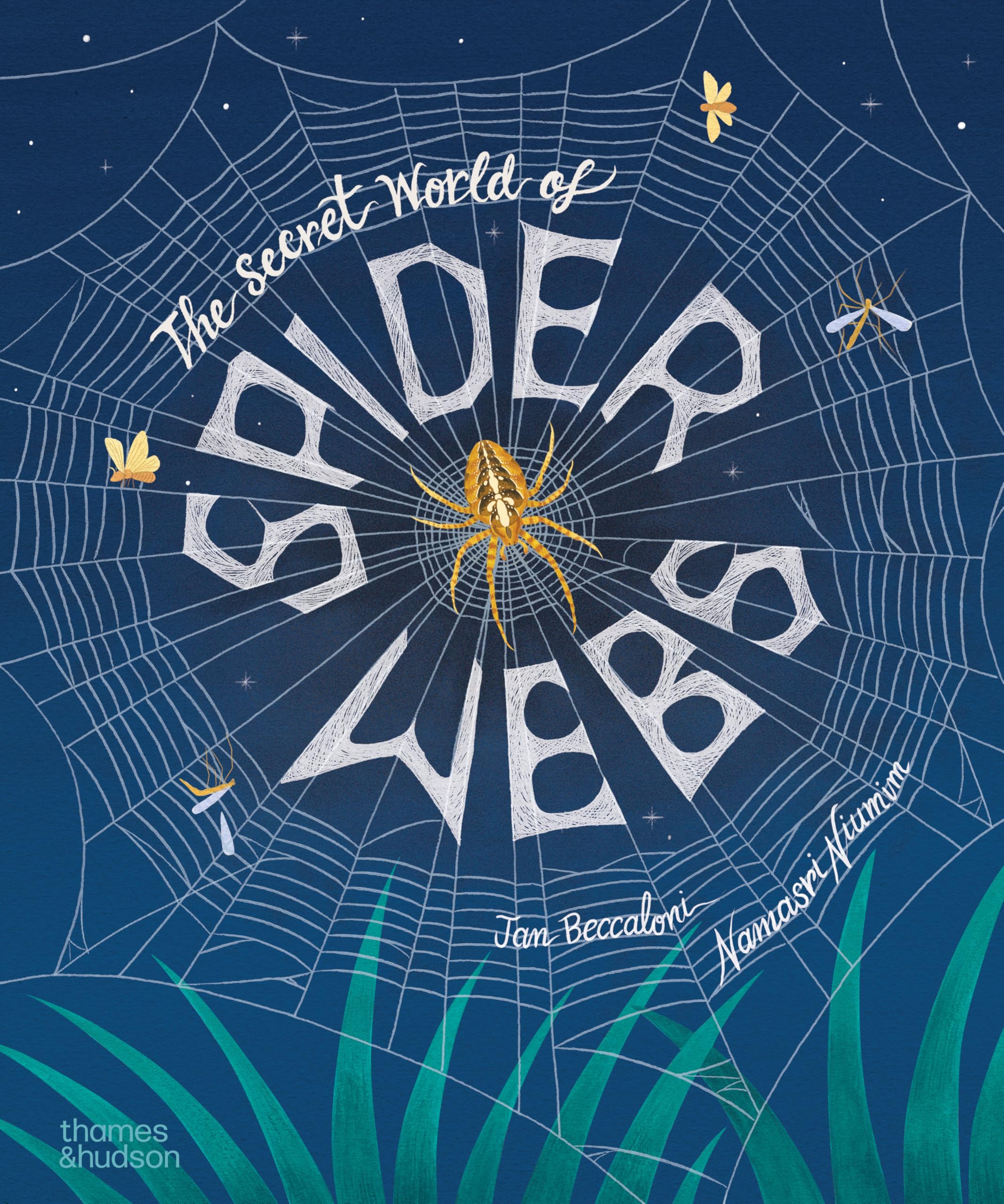 The Secret World of Spider Webs by Jan Beccaloni Hardback