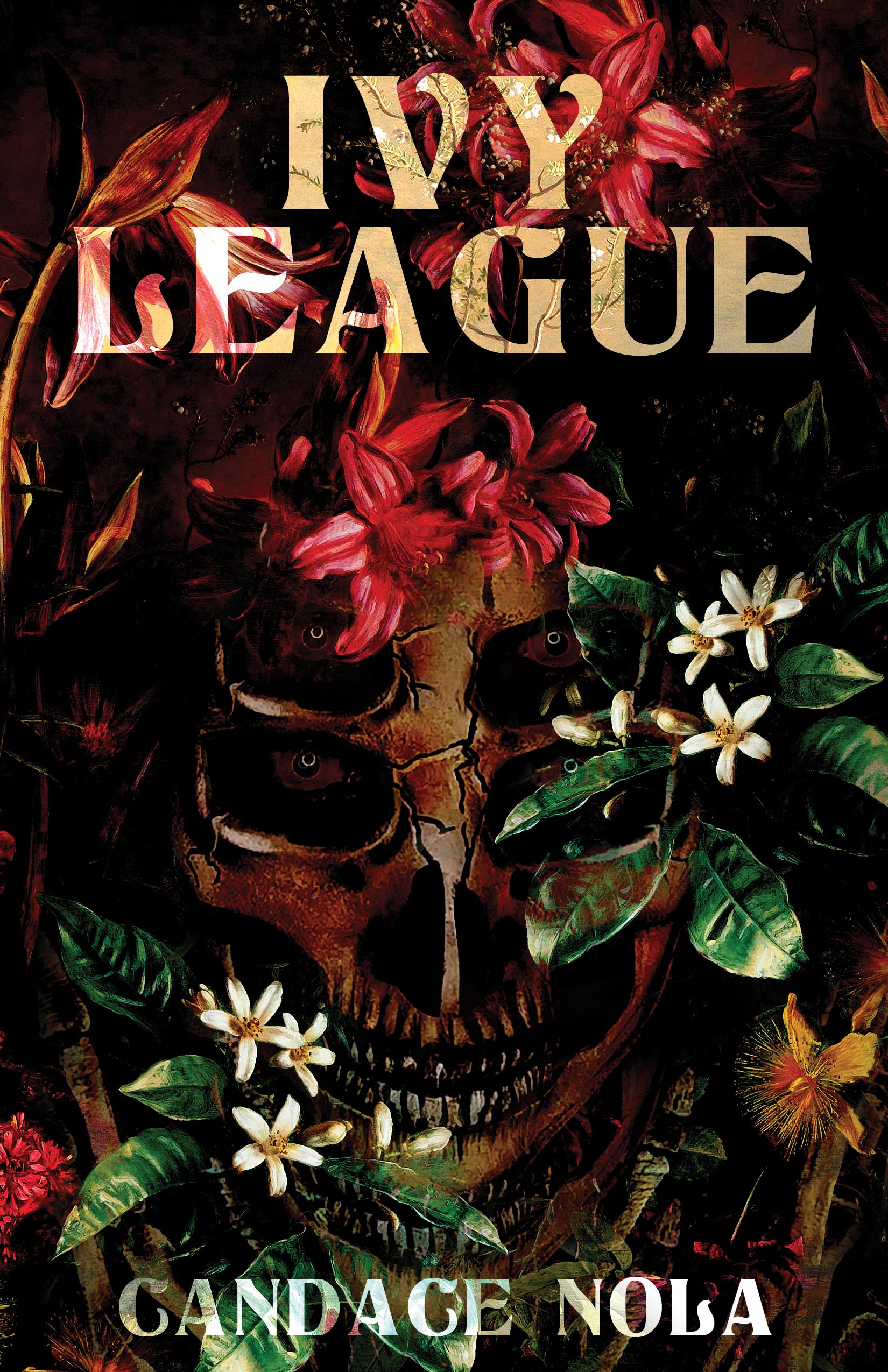 Cover of Ivy League