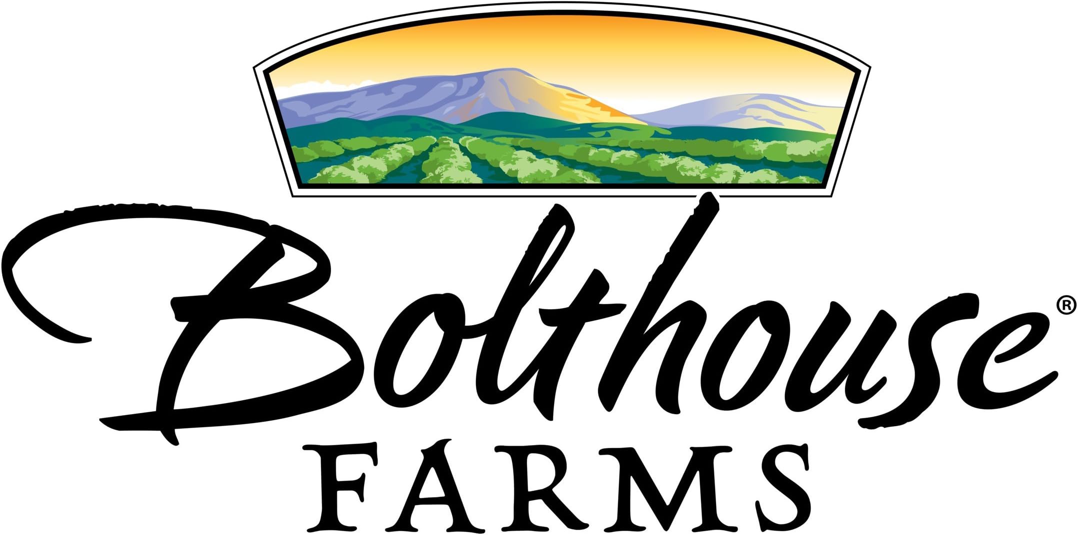 Amazon.com: Bolthouse Farms Blue Cheese Yogurt Dressing, 14 FZ : Grocery & Gourmet Food Amazon.com: Bolthouse Farms Blue Cheese Yogurt Dressing, 14 FZ : Grocery & Gourmet Food