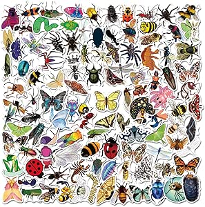100 rockstickers voor muziekbanden, waterdichte vinylstickers voor laptops, flessen, motorfietsen en meer, trendy hiphop- en graffiti-design