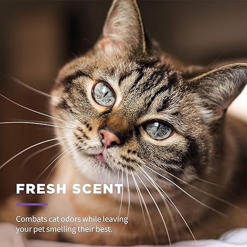 Miniatura 5 de Wet Ones Toallitas multiusos para refrescar mascotas con aloe vera  Toallitas de limpieza para gatos fáciles de usar, toallitas refrescantes para