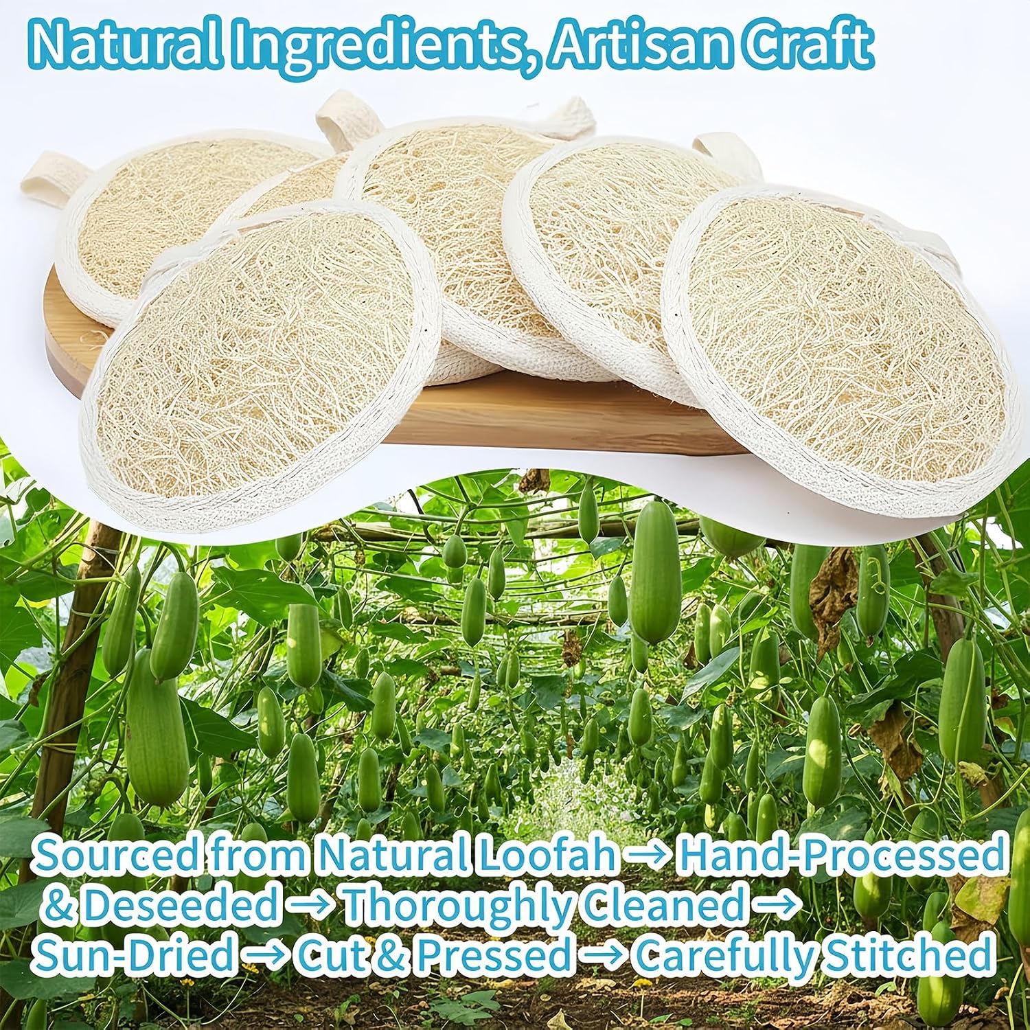 Natural Loofah Face Scrubber,Exfoliating Facial Scrub Pads Made from Organic Luffa for Women and Men (3.35", 6Pack) image 2