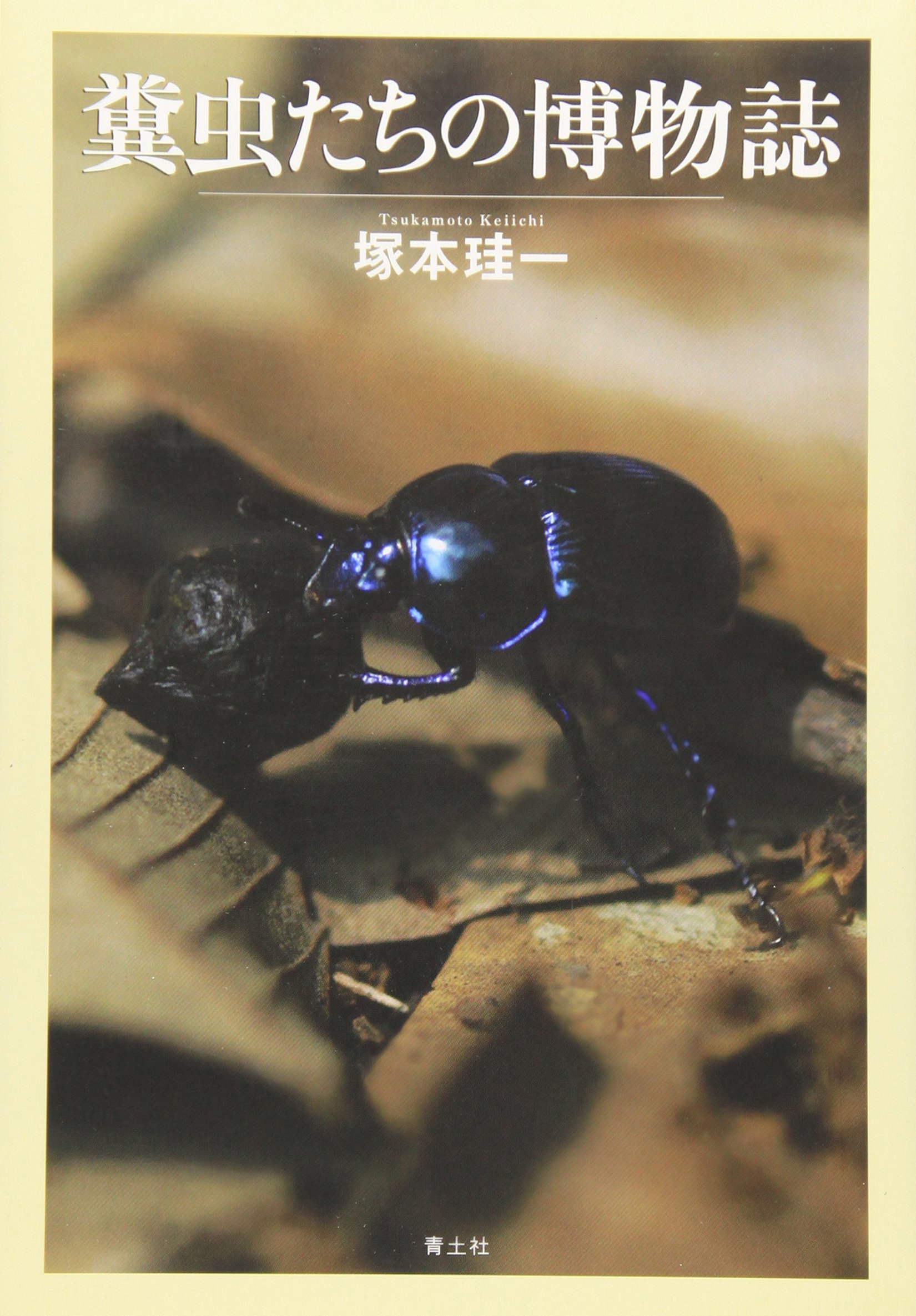 糞虫たちの博物誌 | 塚本 珪一 |本 | 通販 | Amazon