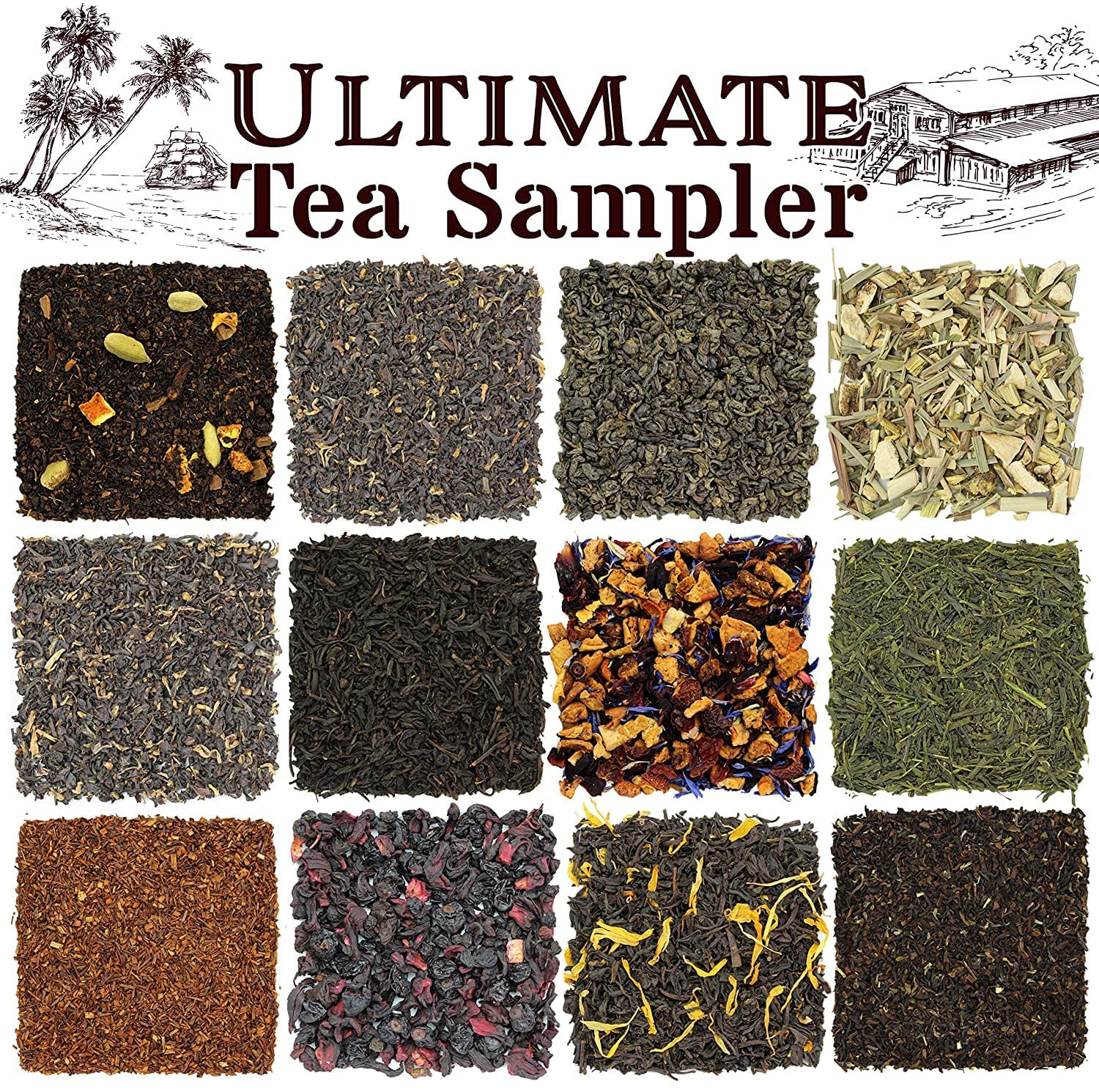 Solstice Loose Leaf Tea Ultimate Sampler Feat. 12 Teas; Approx 180+ Servings