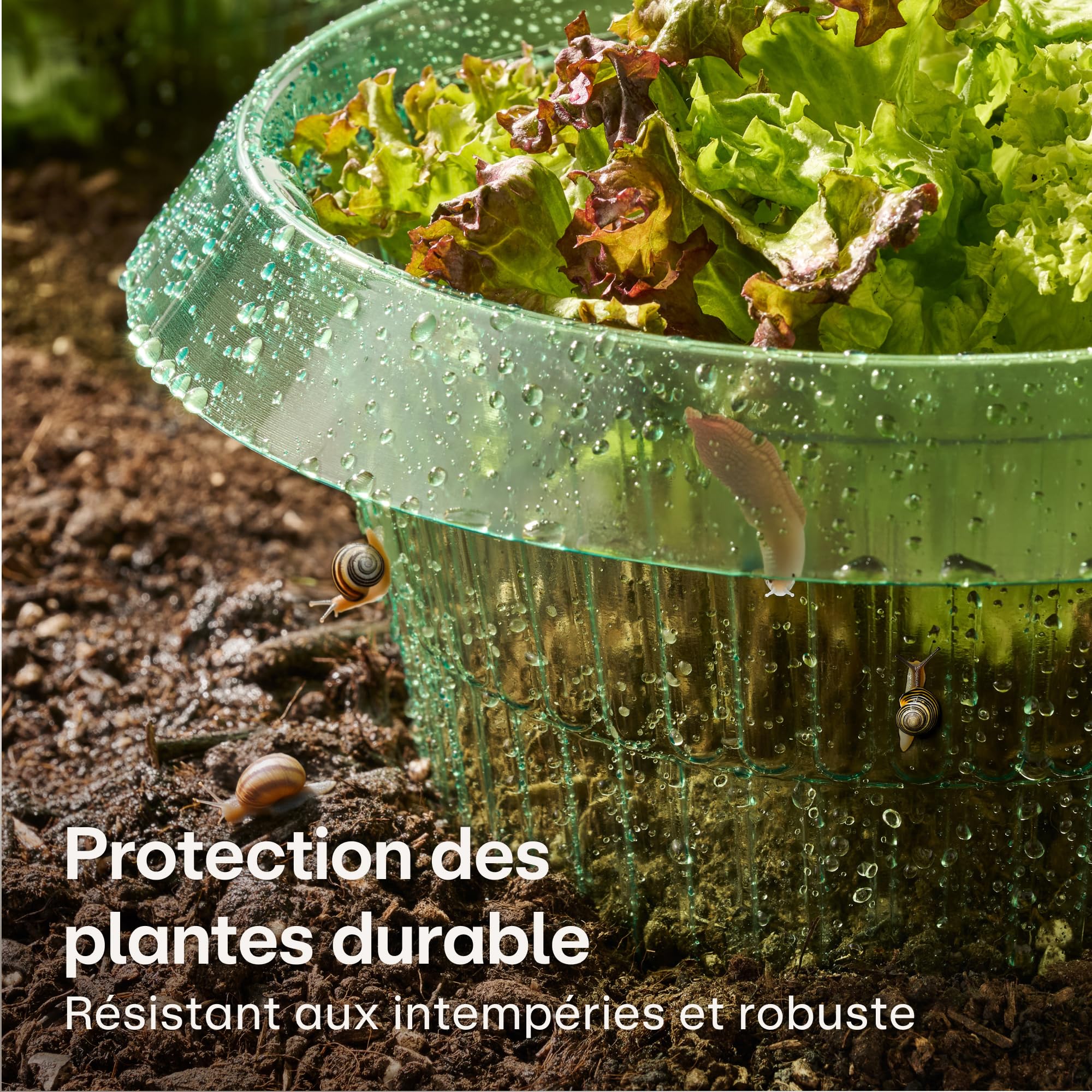 Praknu Collet Anti Limaces 10 pièces Barrière Réutilisable Résistant Aux Intempéries pour Laitues Légumes Fleurs