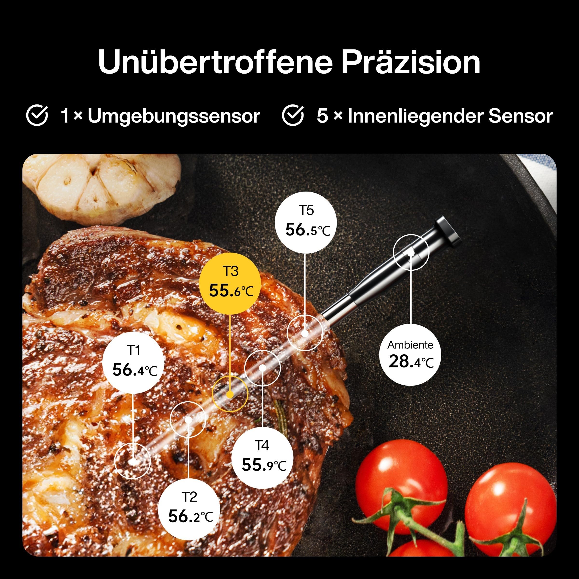 Typhur Sync Kabellose Smarte Fleischthermometer – 1 Sonden 6 Sensoren, 122m Bluetooth 5.3, Unbegrenzte WiFi Überwachung Stabilität, IPX8 Wasserdicht, Grill Ofen Küche Lebensmittel Heißluftfritteuse