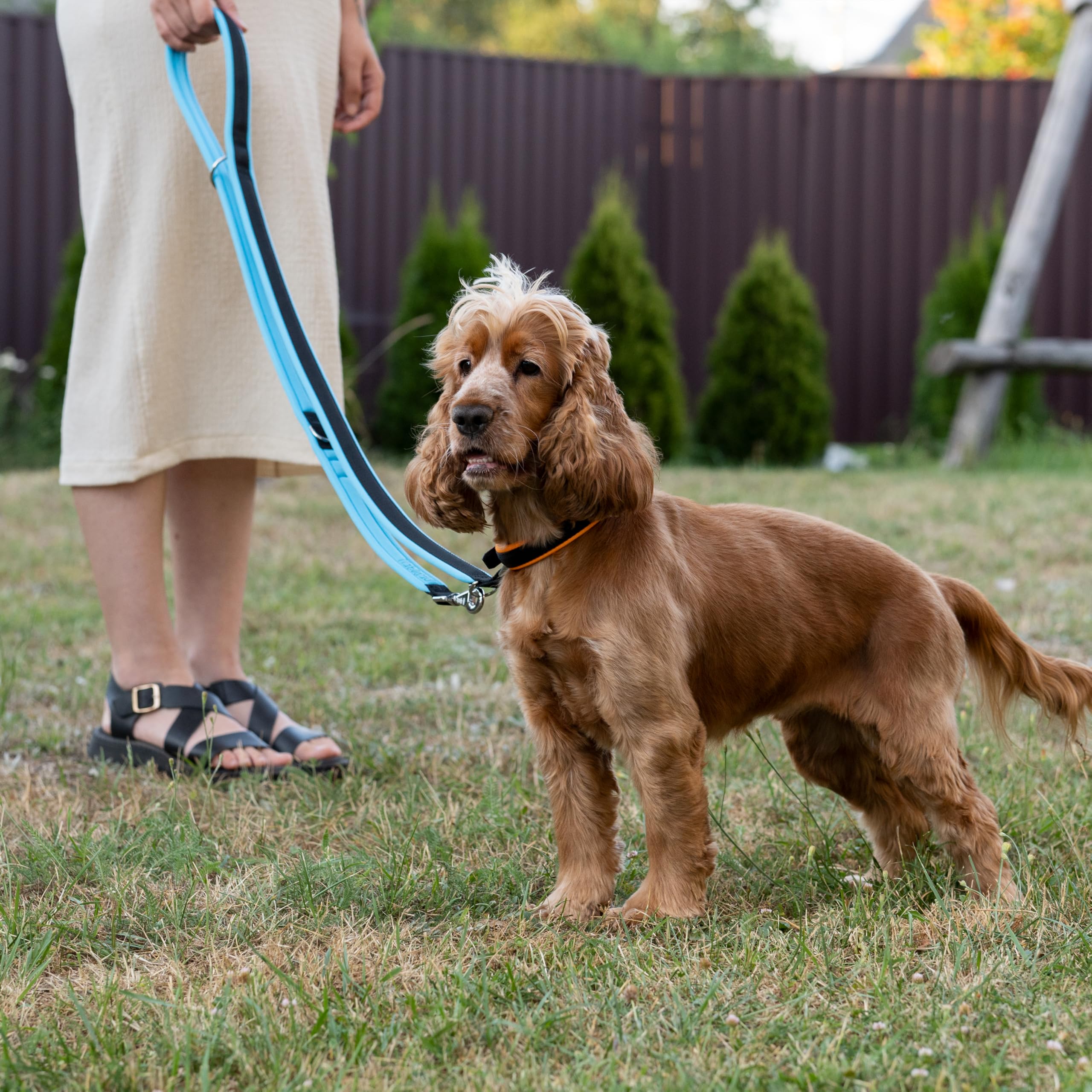 Ferplast Correa Adiestramento Perro ERGOFLUO, para Perros medianos, Asa Ergonómica Acolchada, Mosquetón metálico. Longitud Ajustable. Tamaño 200 cm, Azul