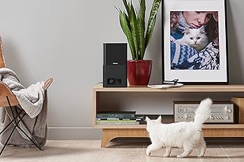 Petcube Bites ペットと会話し、おやつを与えれる見守りカメラ Amazon | Petcube(ペットキューブ) [正規代理店品] Petcube