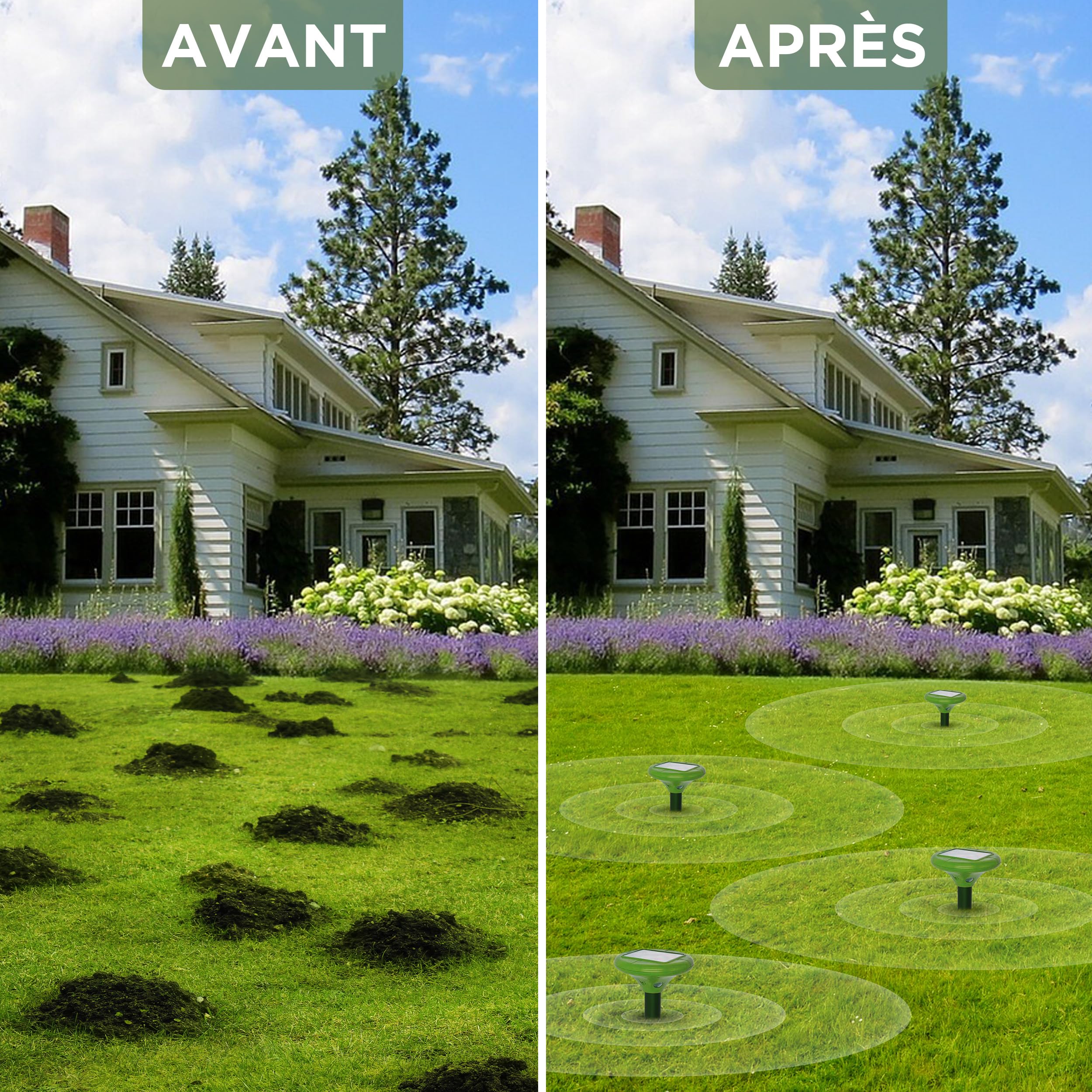 ISOTRONIC Répulsif Solaire Taupes, campagnols et Serpents – avec Piquet de Sol pour Le Jardin – Protection Efficace sans Poison – Portée 1 250 m² – Lot de 2 unités pour Grands terrains et Jardins
