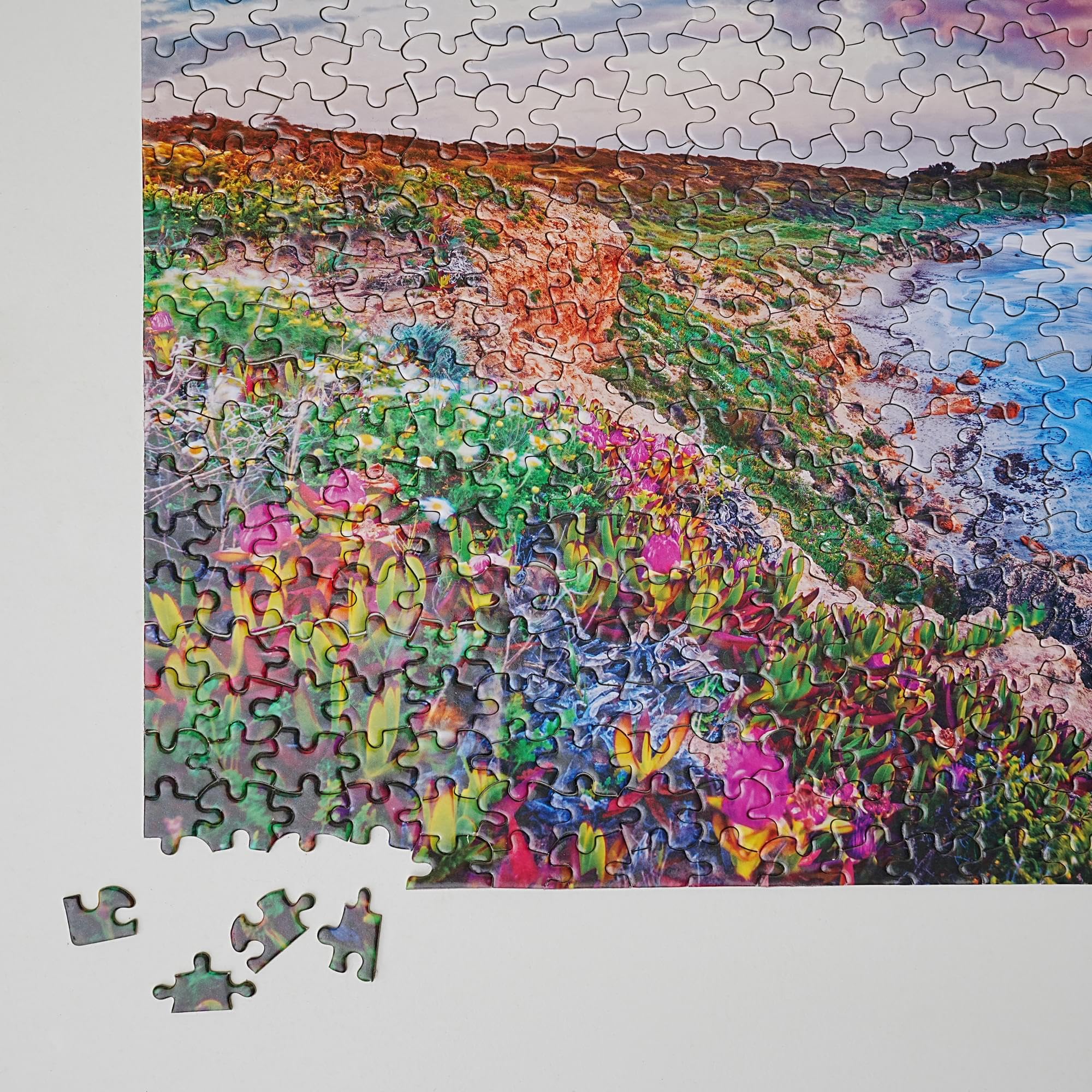 Amazon.com: Pink Sky Beach 500 Piece Natures Beauty Jigsaw Puzzle