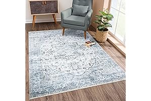 Bloom Rugs 4x6 Ivory/Blue/Gray Washable Non-Slip Area Rug