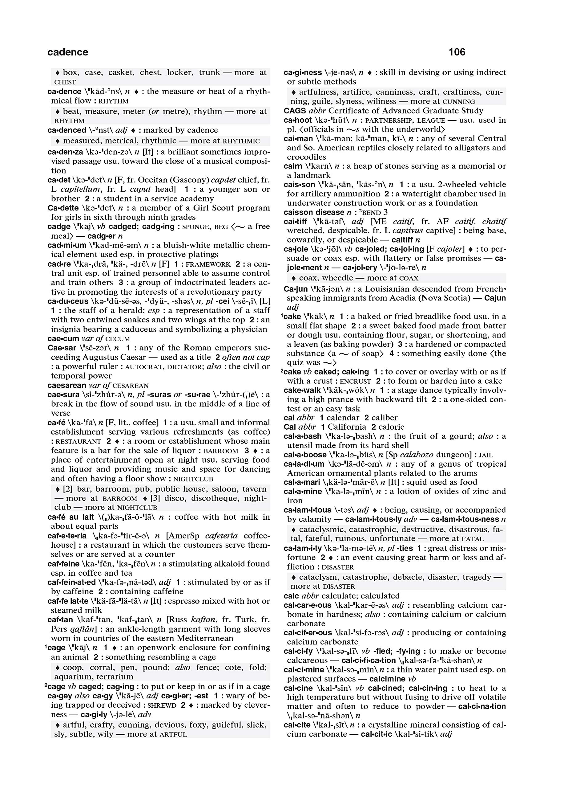 Merriam-Webster's Dictionary and Thesaurus - Image 5