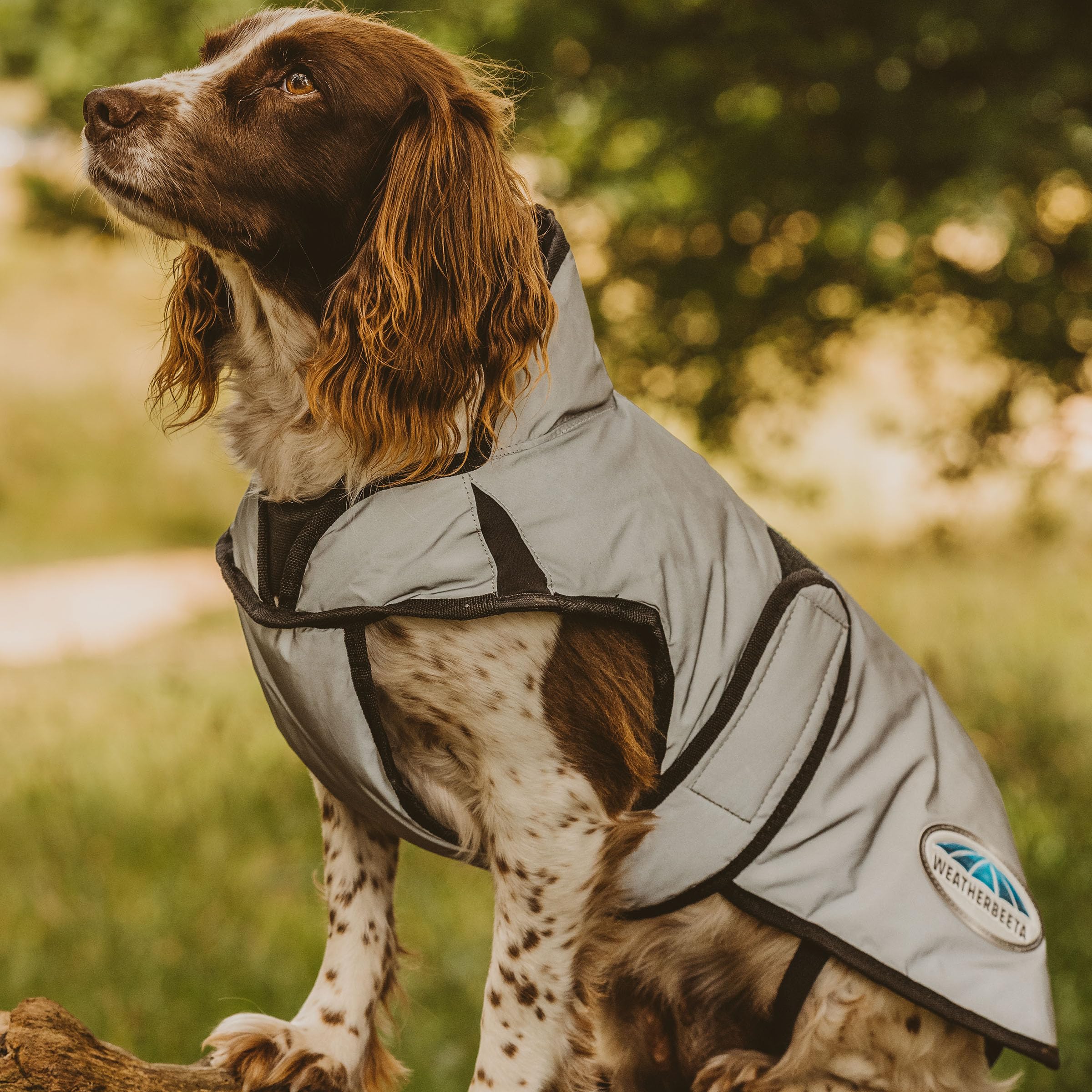 WeatherBeeta ComFiTec Reflective Dog Coat Medium, Silver, 50cm - Image 3