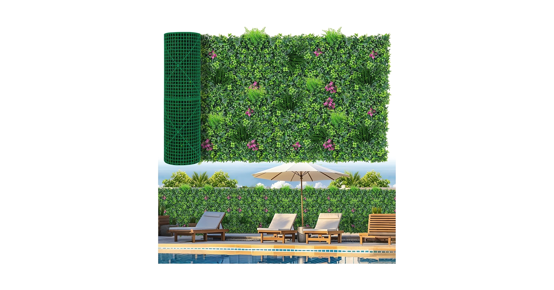 GIRUVI 「Grow on the Wall」Gracilius GIRUVI 「Grow on the Wall GIRUVI 「Grow on the Wall」Gracilius GIRUVI 「Grow on the Wall