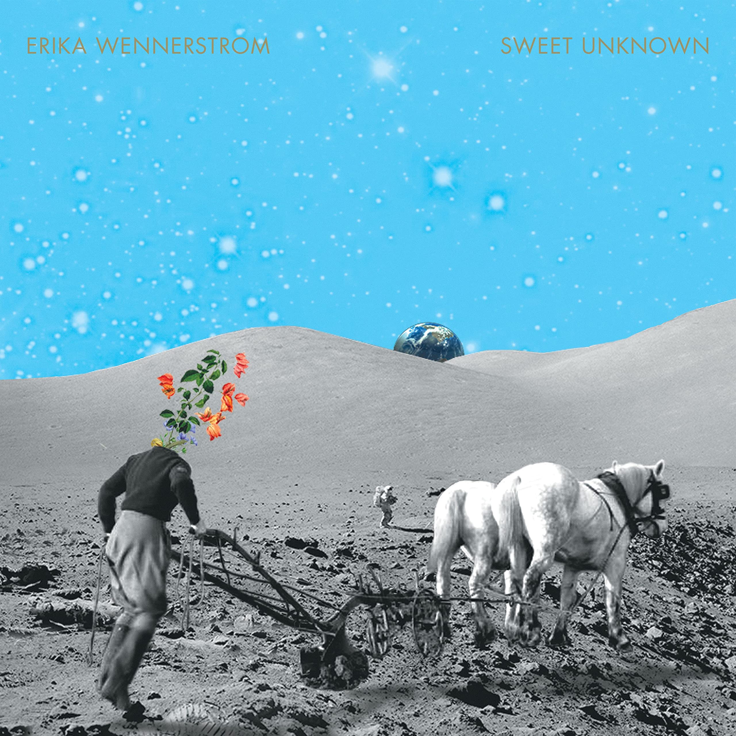 Sweet Unknown [VINYL]