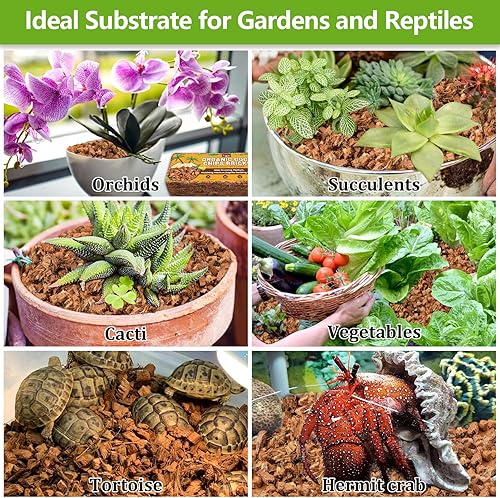 Miniatura 42 de Legigo Paquete de 6 chips de coco para plantas, 6.6 libras, 100% orgánico de chips de coco para macetas con bajo equilibrio EC y PH, sustrato de 6