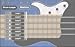 Electric Bass Guitar