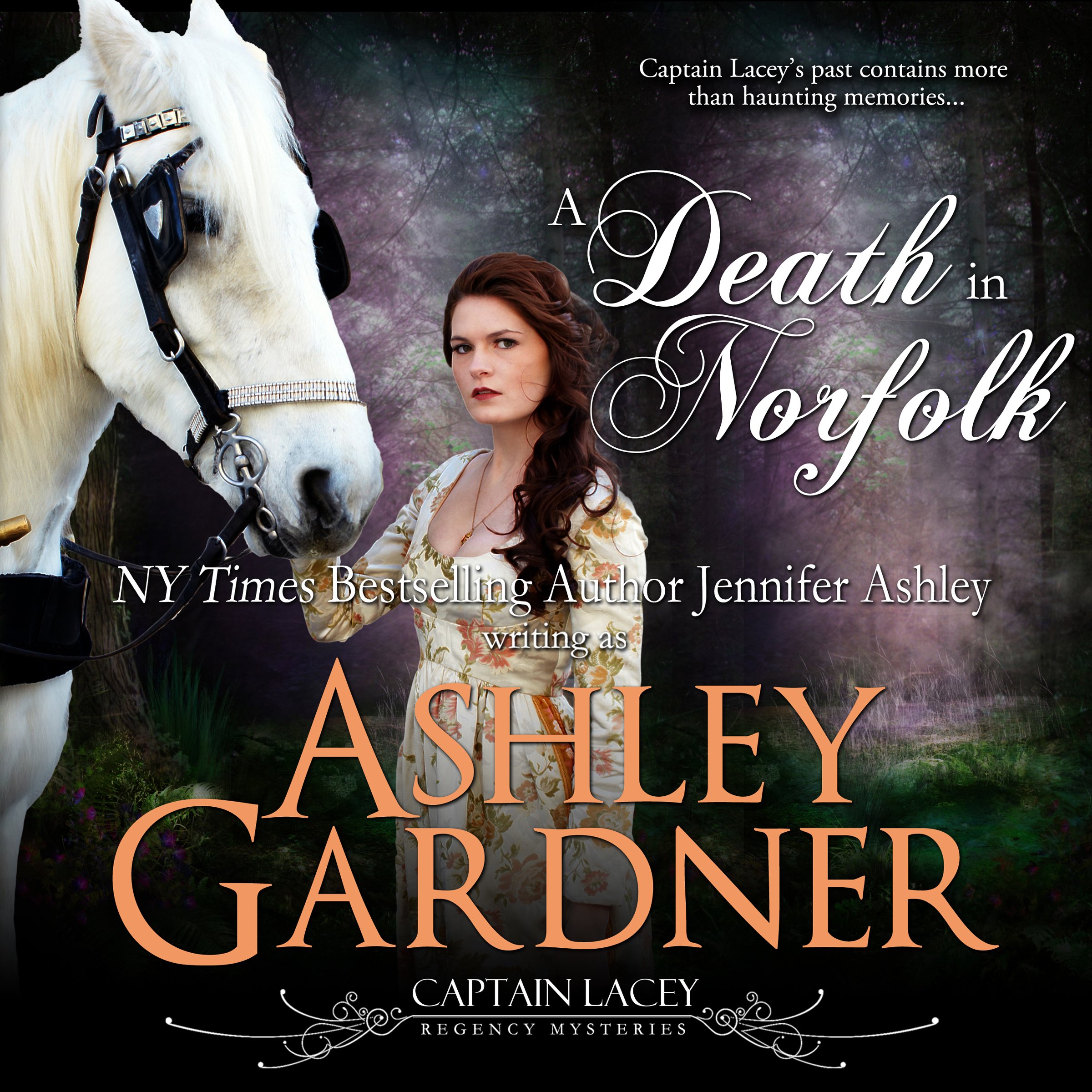 Cover art for A Death in Norfolk