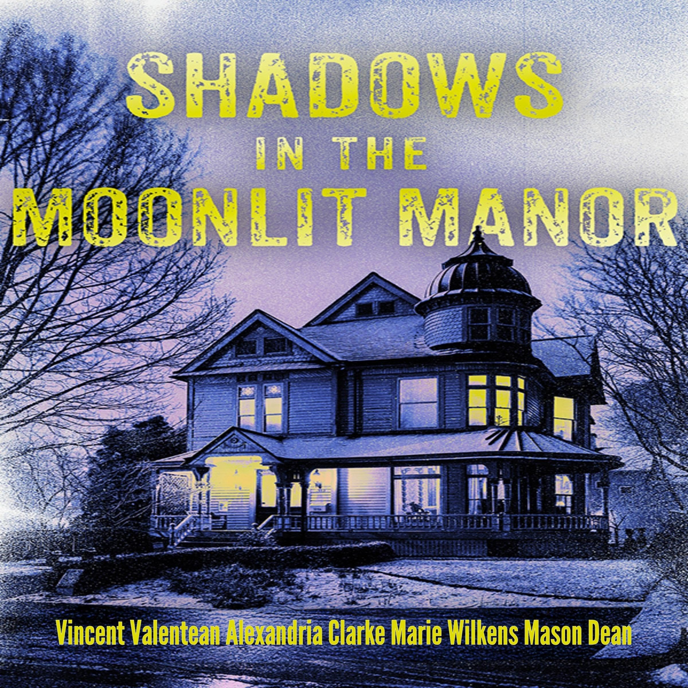 Shadows in the Moonlit Manor Boxset