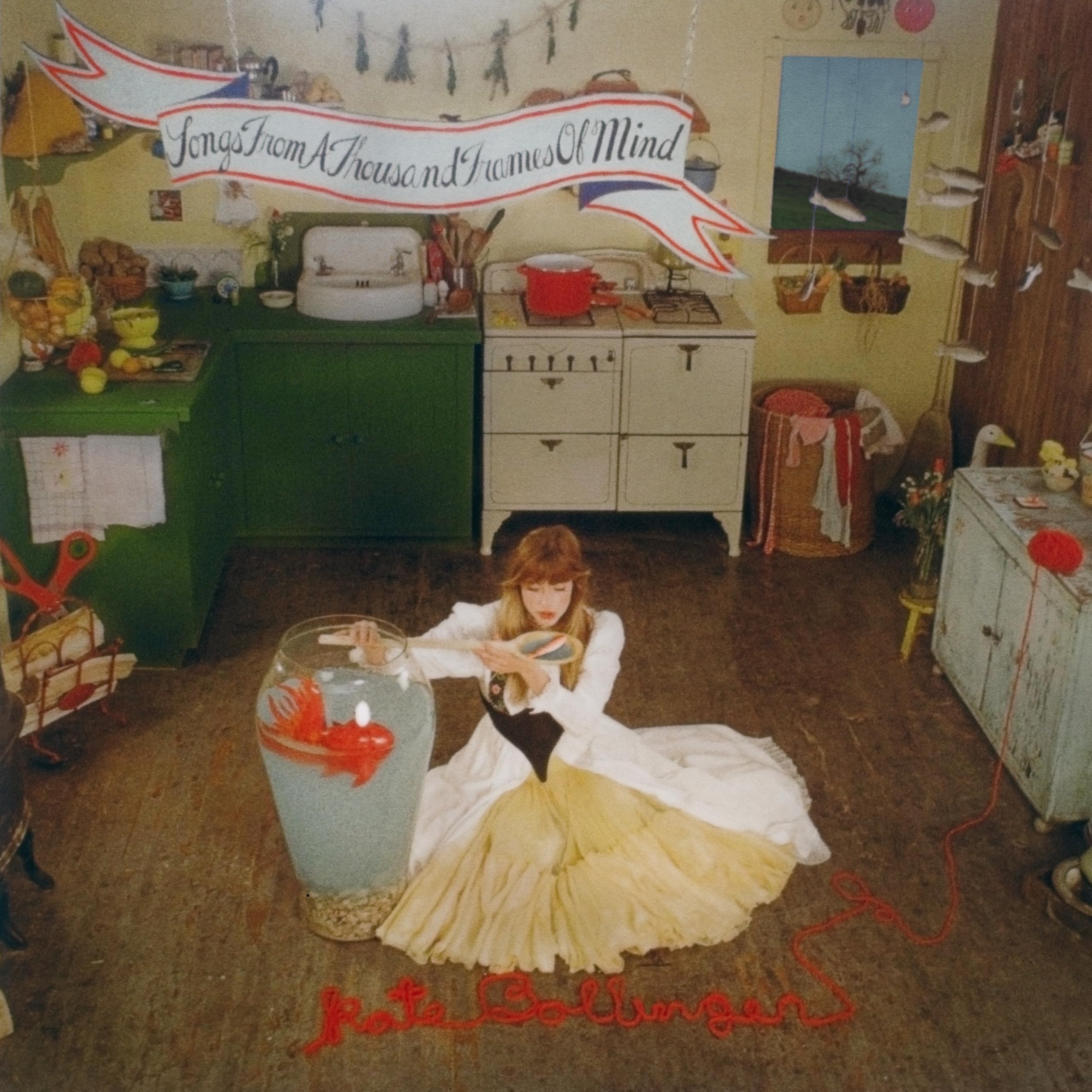 SONGS FROM A THOUSAND FRAMES OF MIND [VINYL]