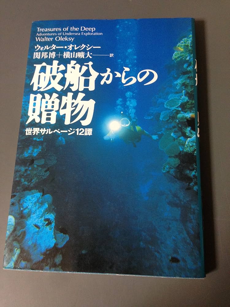 AuldGoonsy'sMalt12年(世界限定)258本 [eco53] Amazon.co.jp: 破船からの贈物: 世界サルベージ12譚