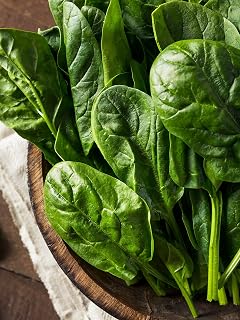 Spinach Seeds - Bloomsdale Savoy Heirloom Variety - Non-GMO Seeds from Canada. 150+ Organic Seeds for Planting
