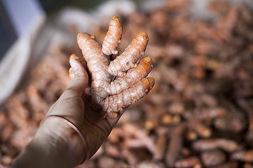 Miniatura 6 de Cúrcuma y pimienta negra 90 cápsulas vegetarianas - 440mg por cápsula