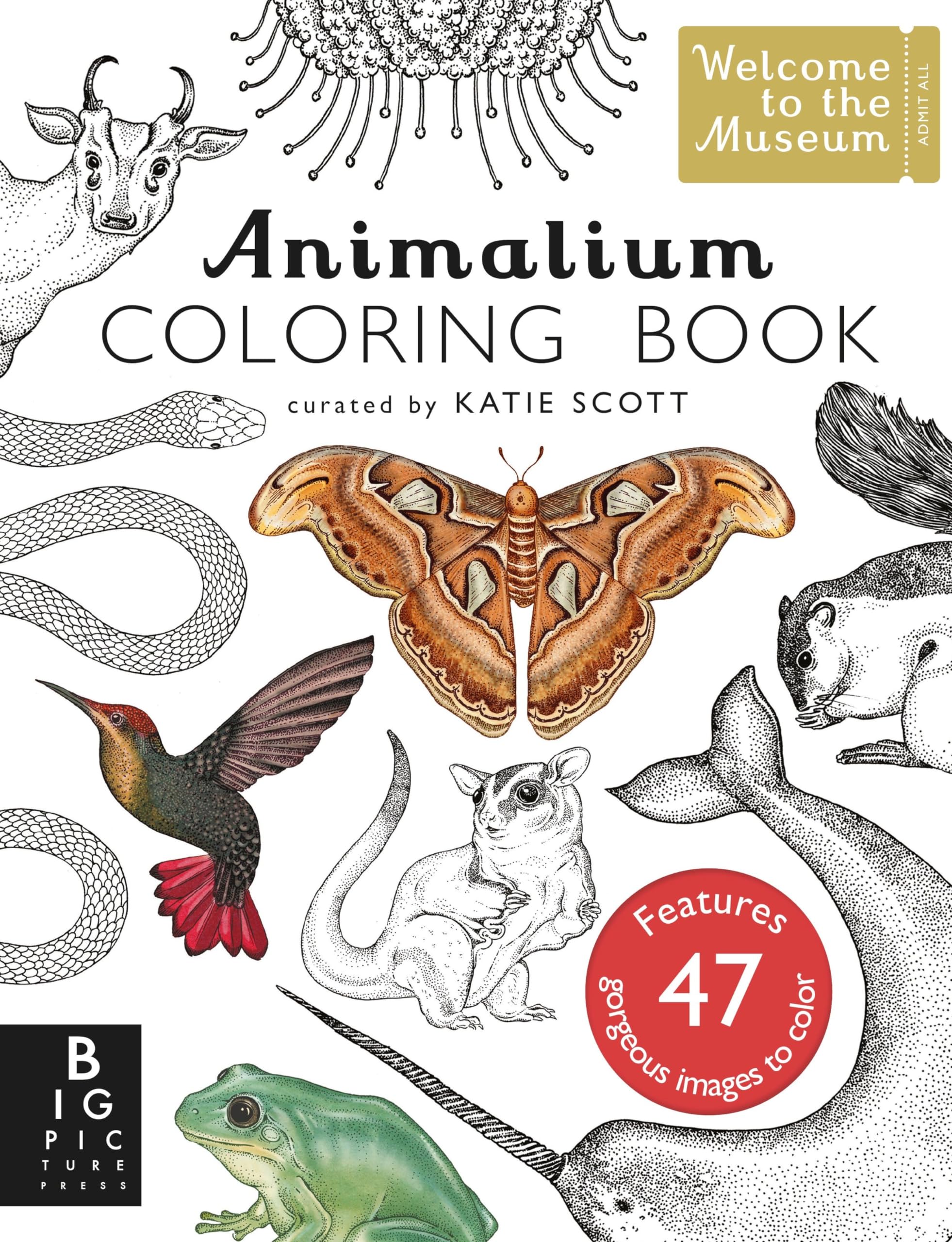 Animalium Coloring Book (Welcome to the Museum)