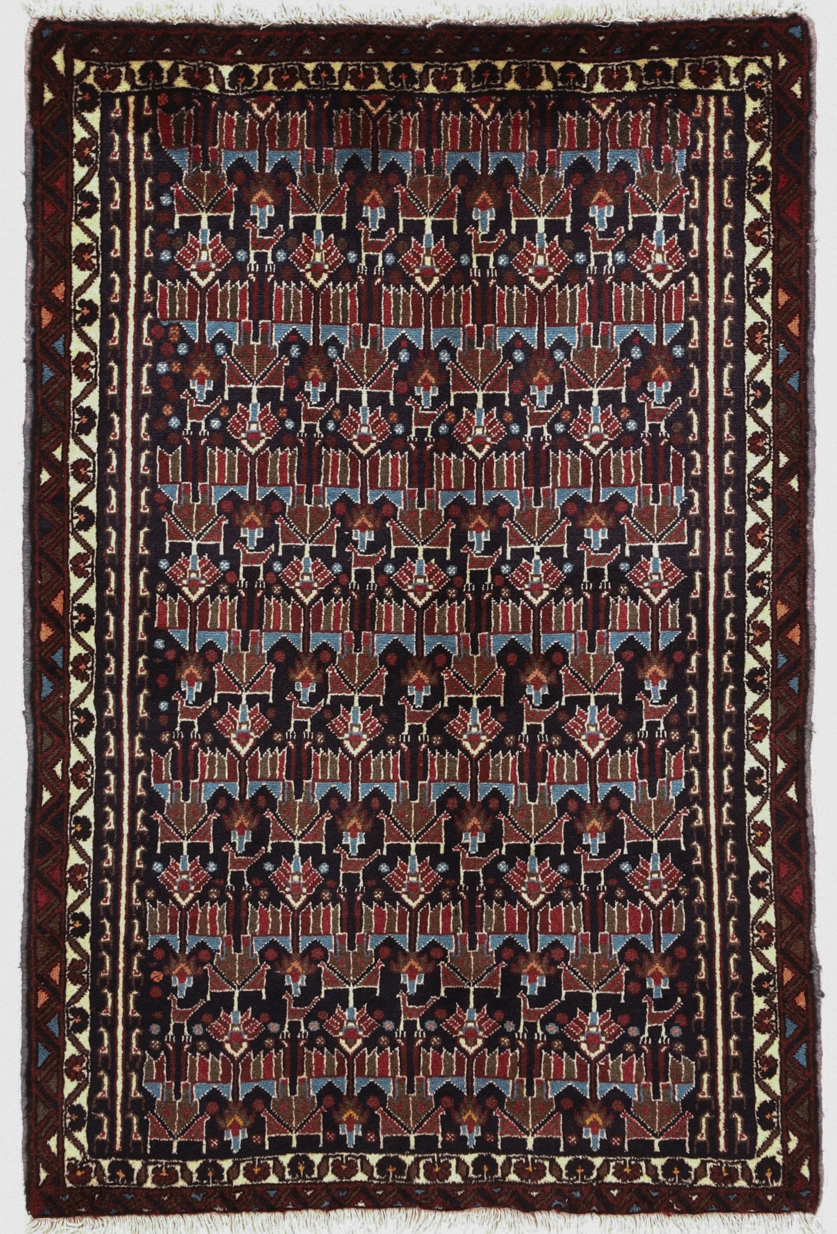 Tapis d'Orient Afshar noué à la main en laine pure du Pakistan pour salon chic
