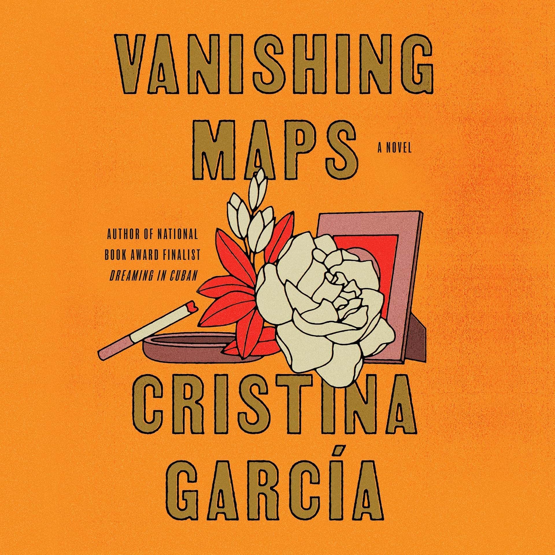 Carousel Item: Vanishing Maps