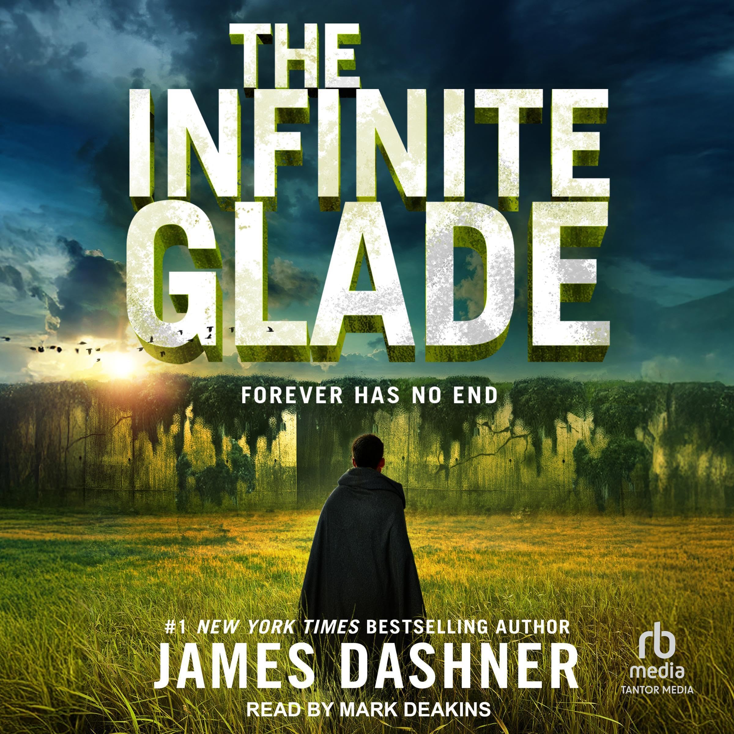 Cover art for The Infinite Glade