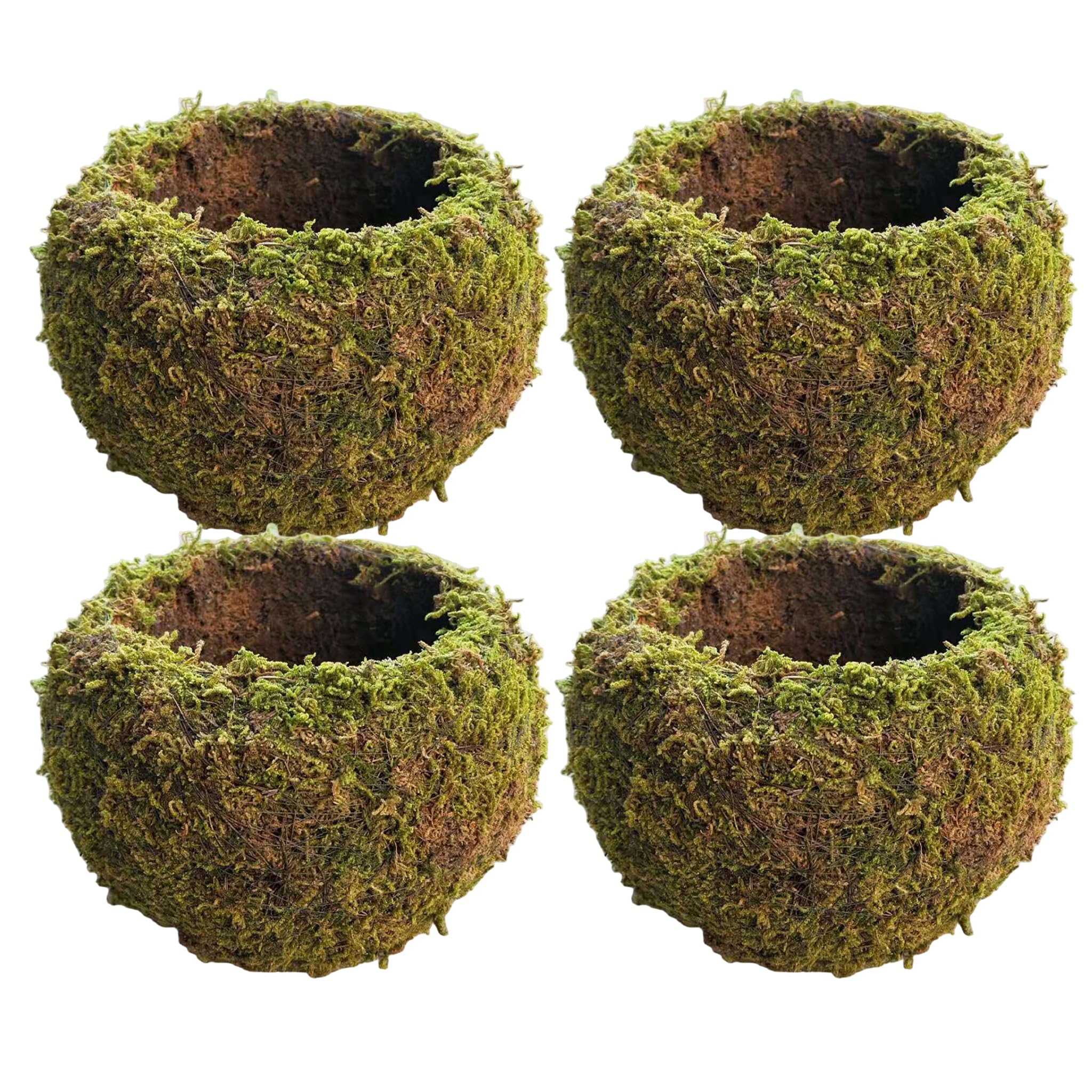 Boules de mousse végétales pour décoration de table et salon zen 15cm
