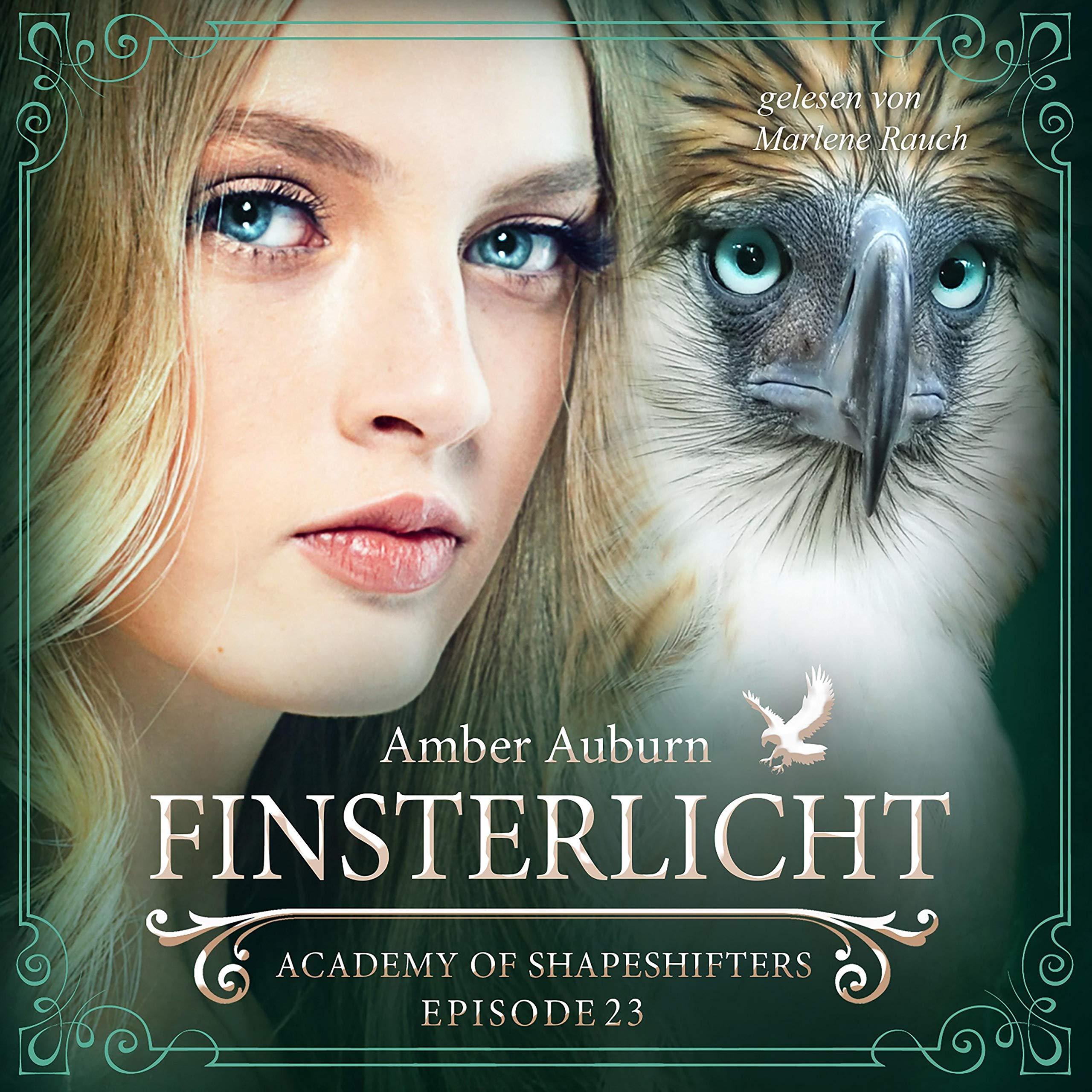Cover art for Finsterlicht