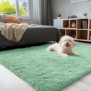 OLANLY 3x5 Machine Washable Small Bedside Rug, Soft Fluffy Shaggy Rugs for Living Room, Bedroom, Indoor Floor Carpet for Kids Girls and Boys, Preppy Dorms, Nursery, Home Decor Aesthetic, Mint Green