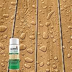 Olympic WaterGuard 11 oz. Clear Exterior Waterproofing Wood Sealer Spray