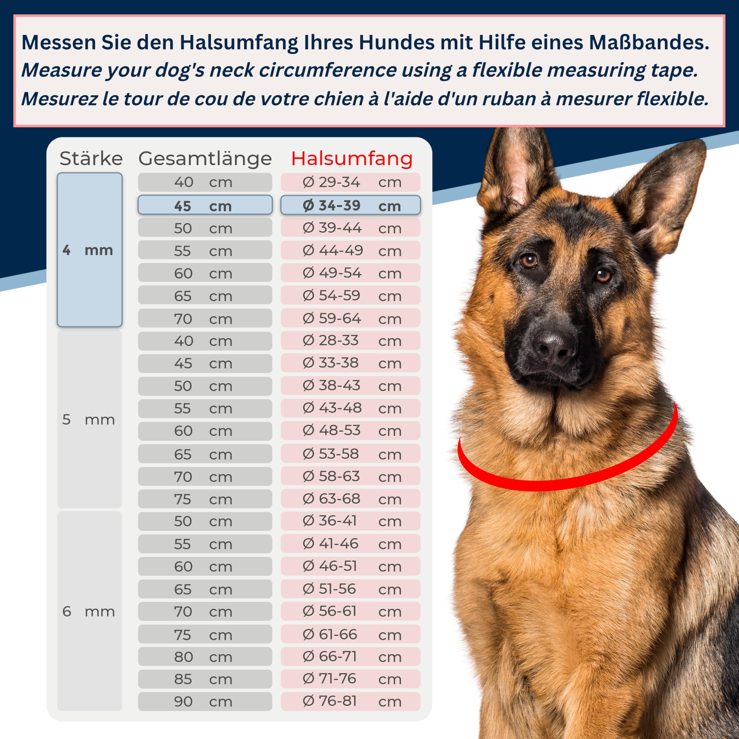 Dog Training Chain Collar with Pull Stop Stainless Steel Short Link Dog Chain 4 mm, Neck Size 34-39 cm, Total Length 45 cm - Image 2